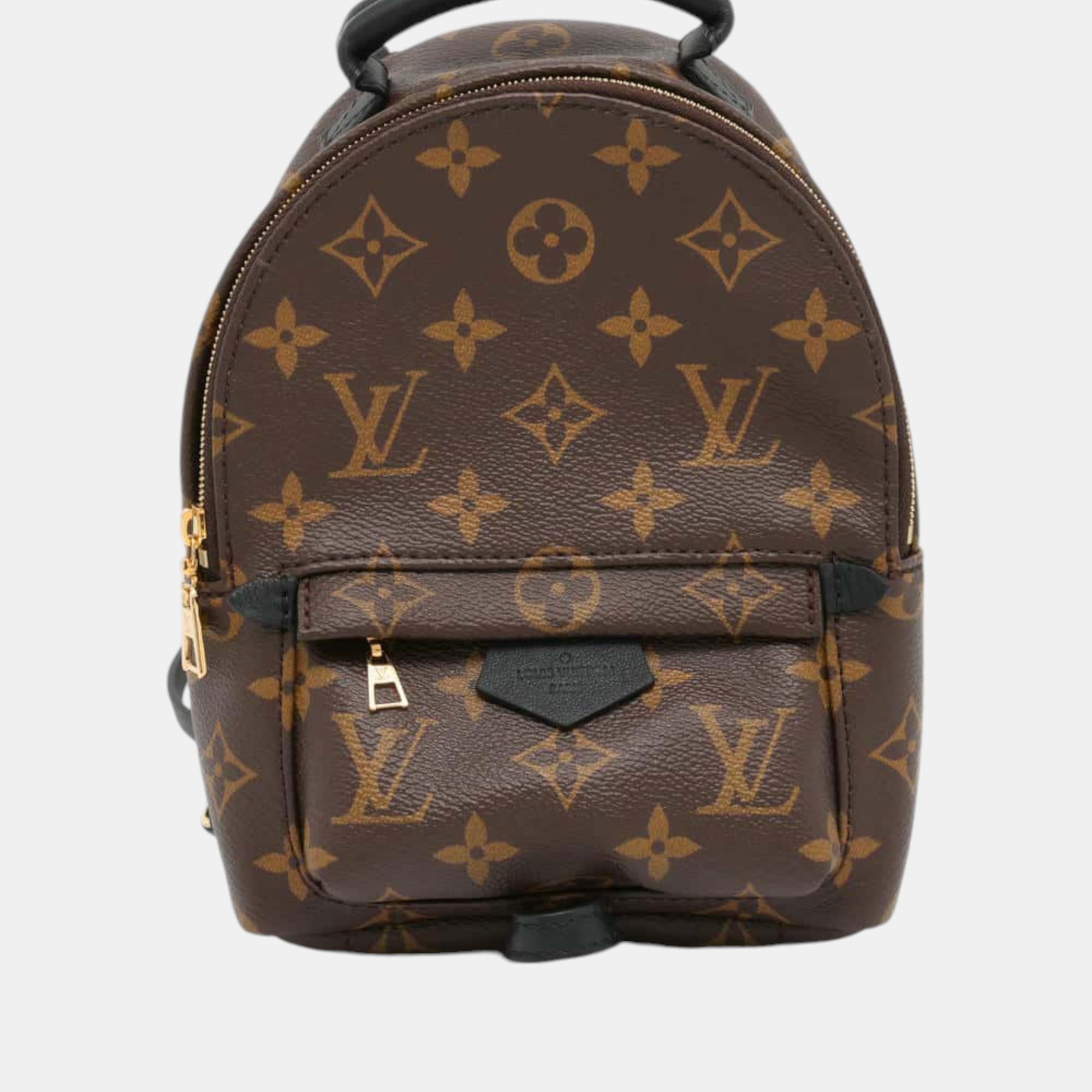 

Louis Vuitton Palm Springs Backpack Noir Monogram Size MINI, Brown