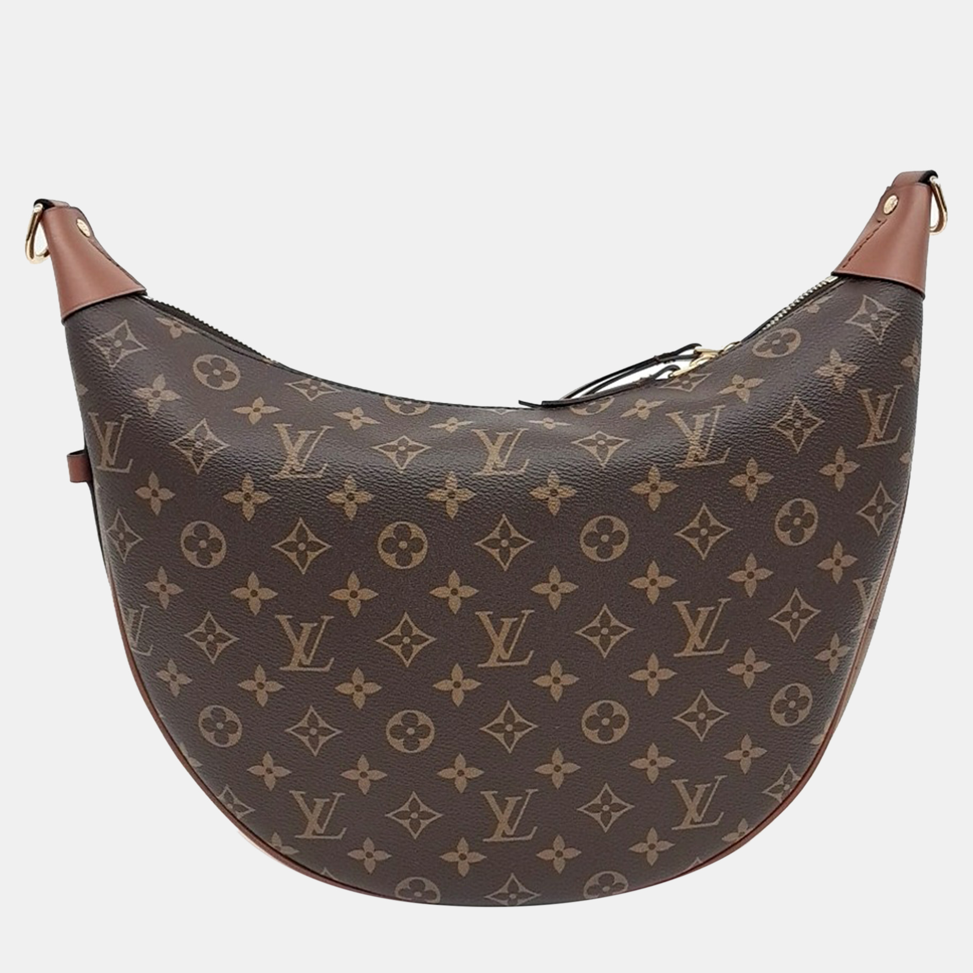 

Louis Vuitton Loop Hobo Bag, Brown