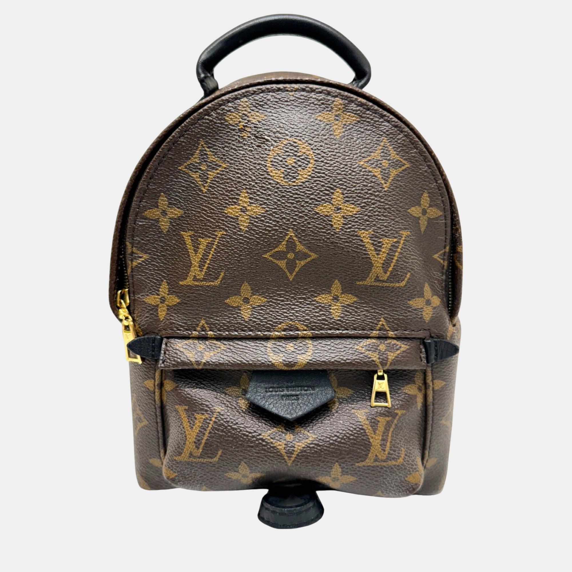 

Louis Vuitton Monogram Brown Palm Springs mini Backpack