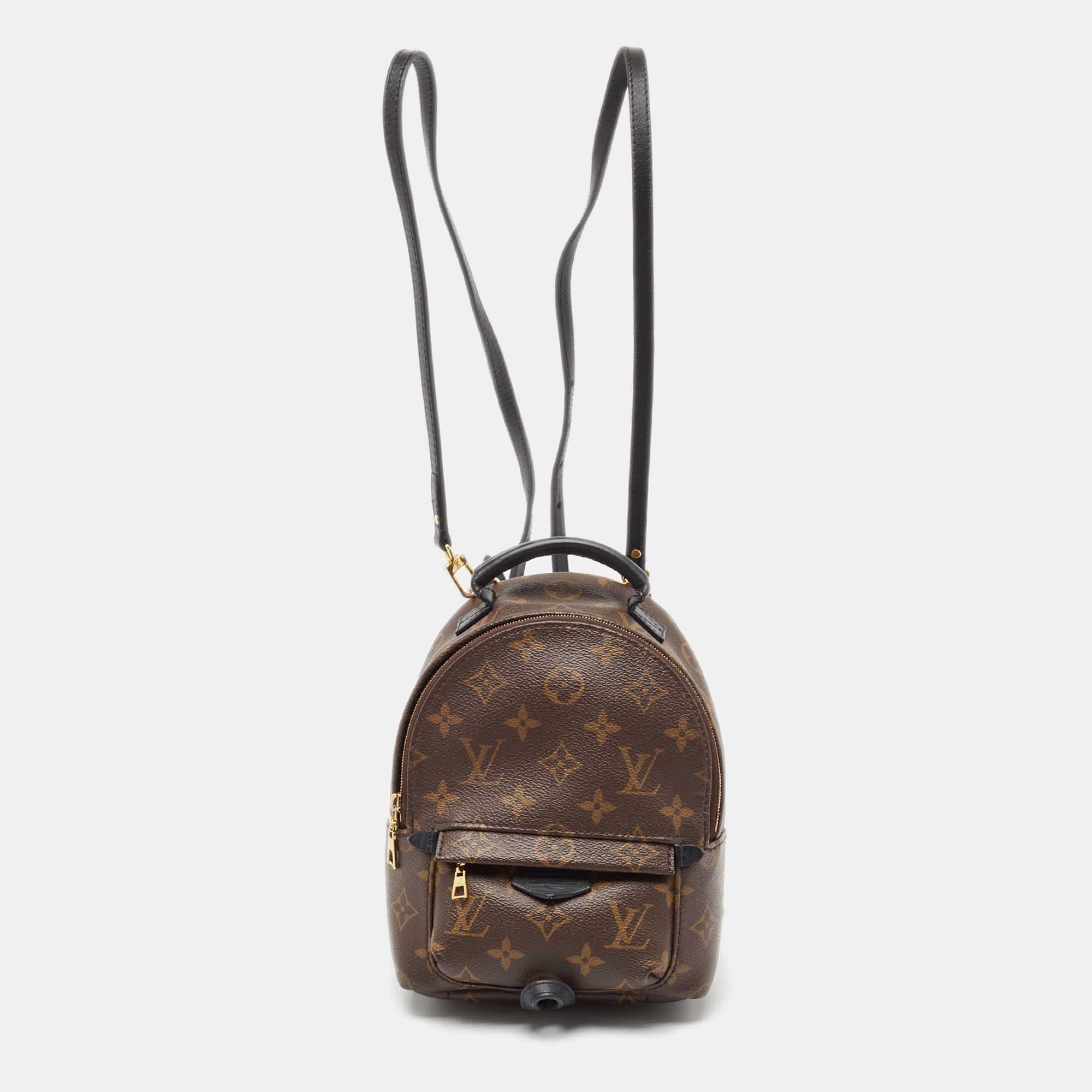 

Louis Vuitton Monogram Canvas Mini Palm Springs Backpack, Brown