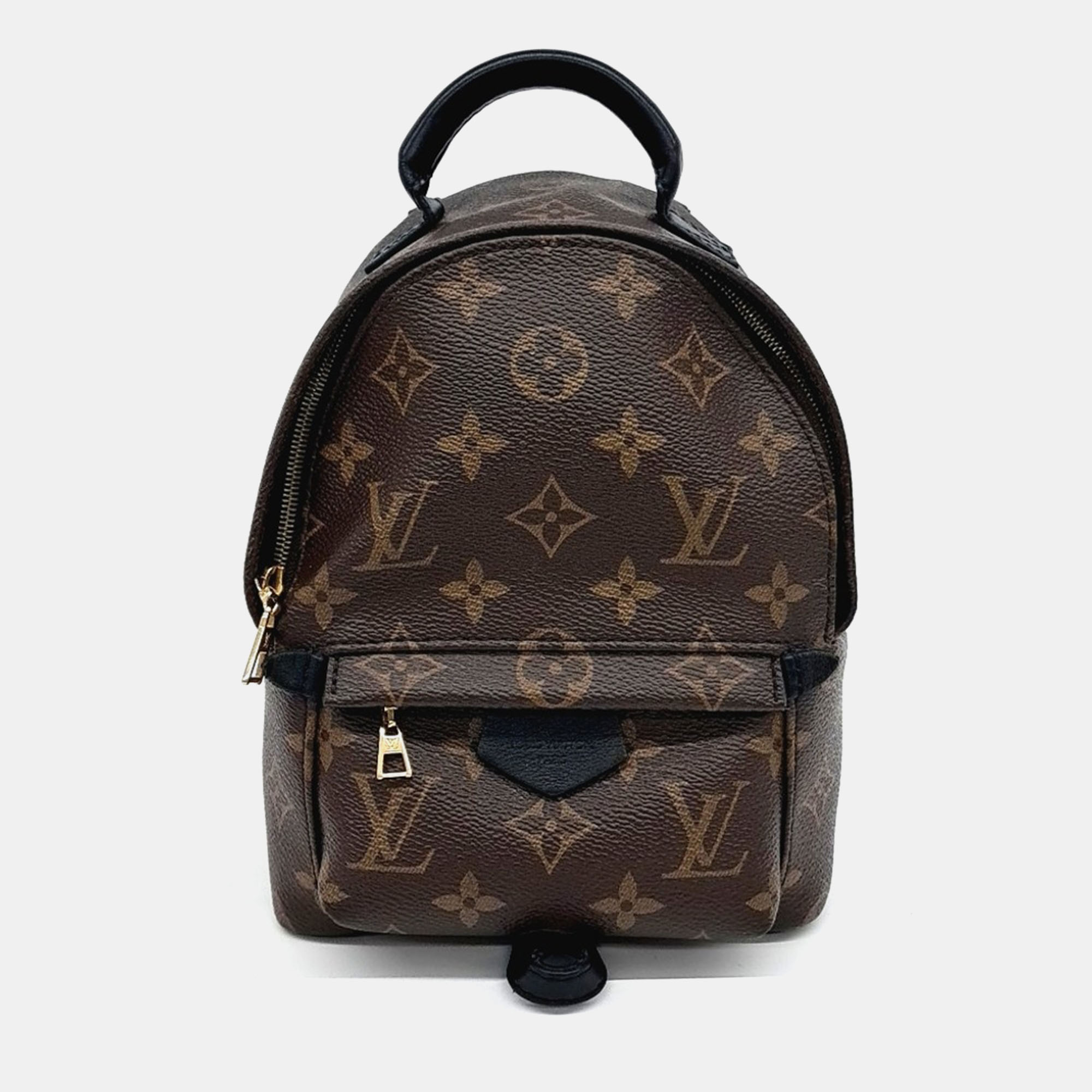 

Louis Vuitton Palm Springs Mini Backpack, Brown