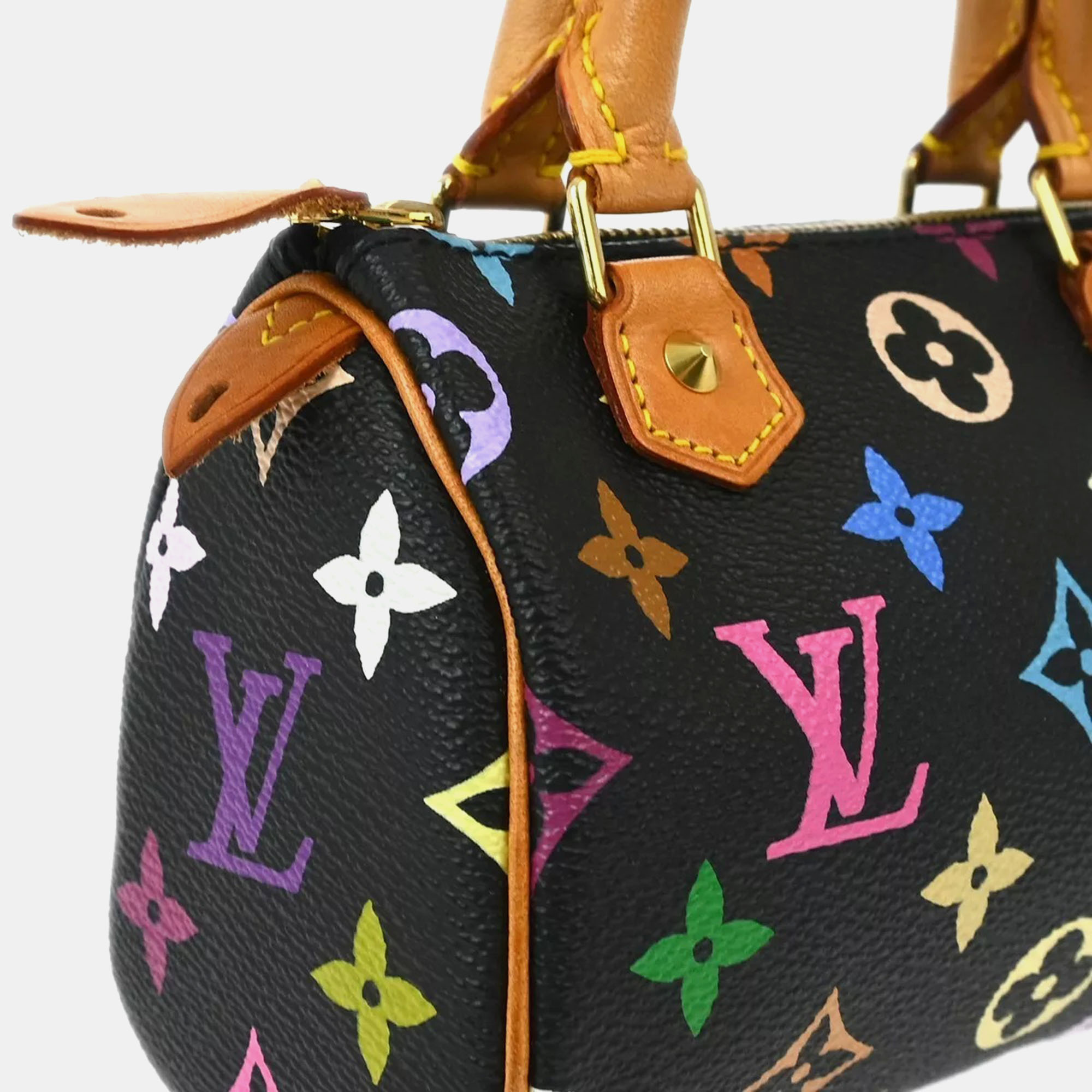 Louis Vuitton Black Multicolor Mini Speedy Handbag 