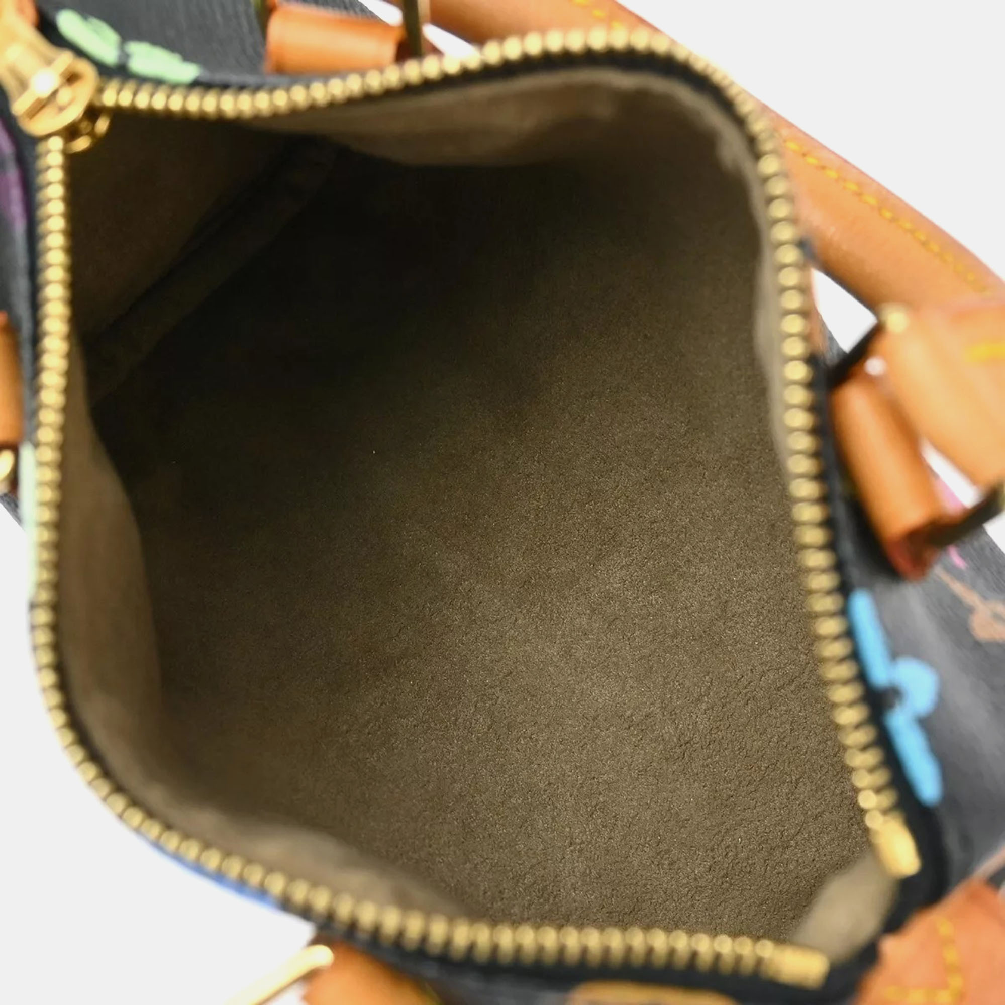Louis Vuitton Black Multicolor Mini Speedy Handbag 