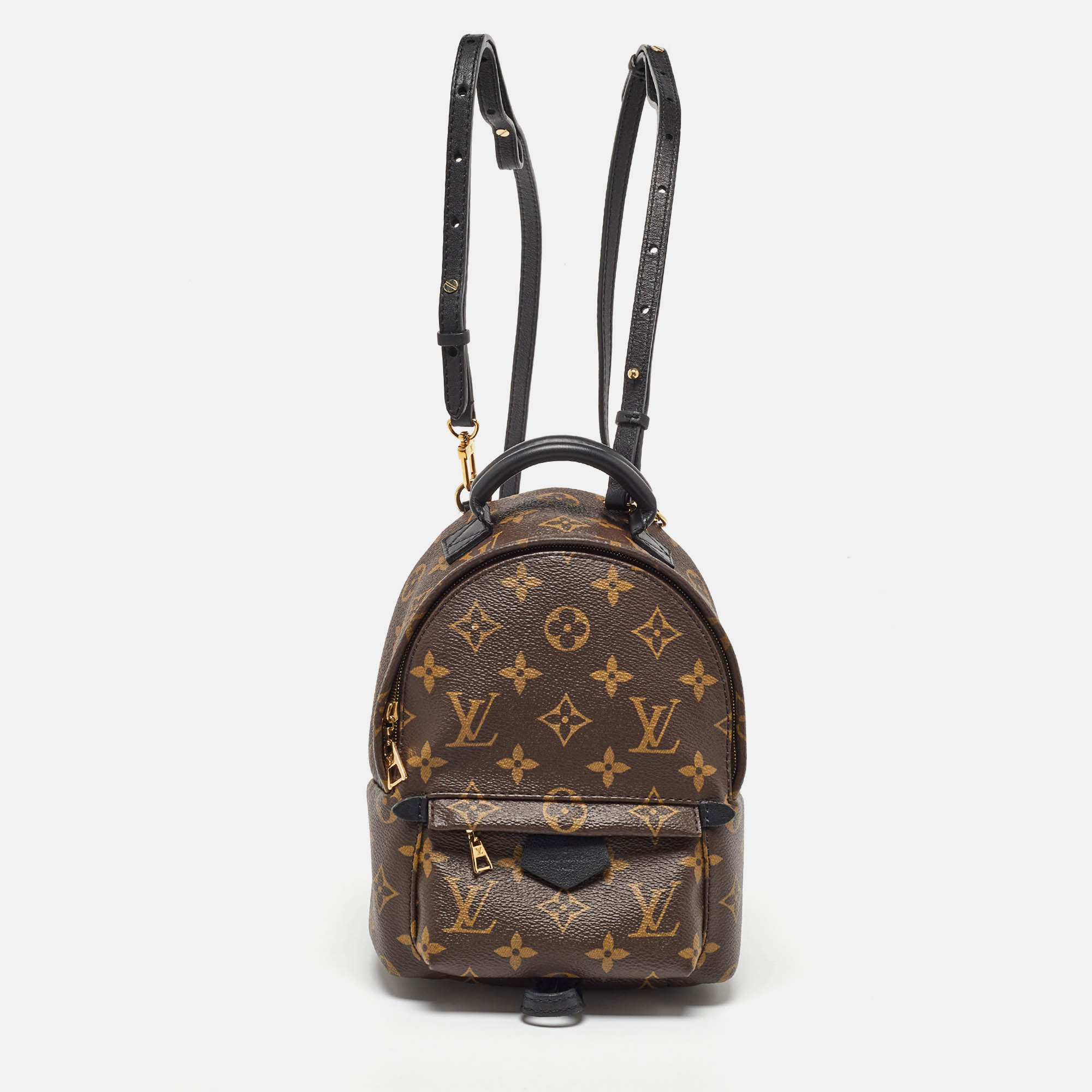 

Louis Vuitton Monogram Canvas Mini Palm Springs Backpack, Brown