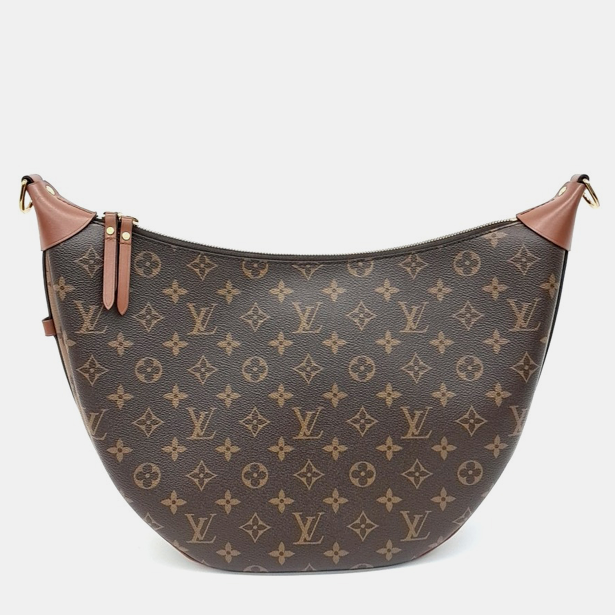 

Louis Vuitton Loop Hobo Bag, Brown