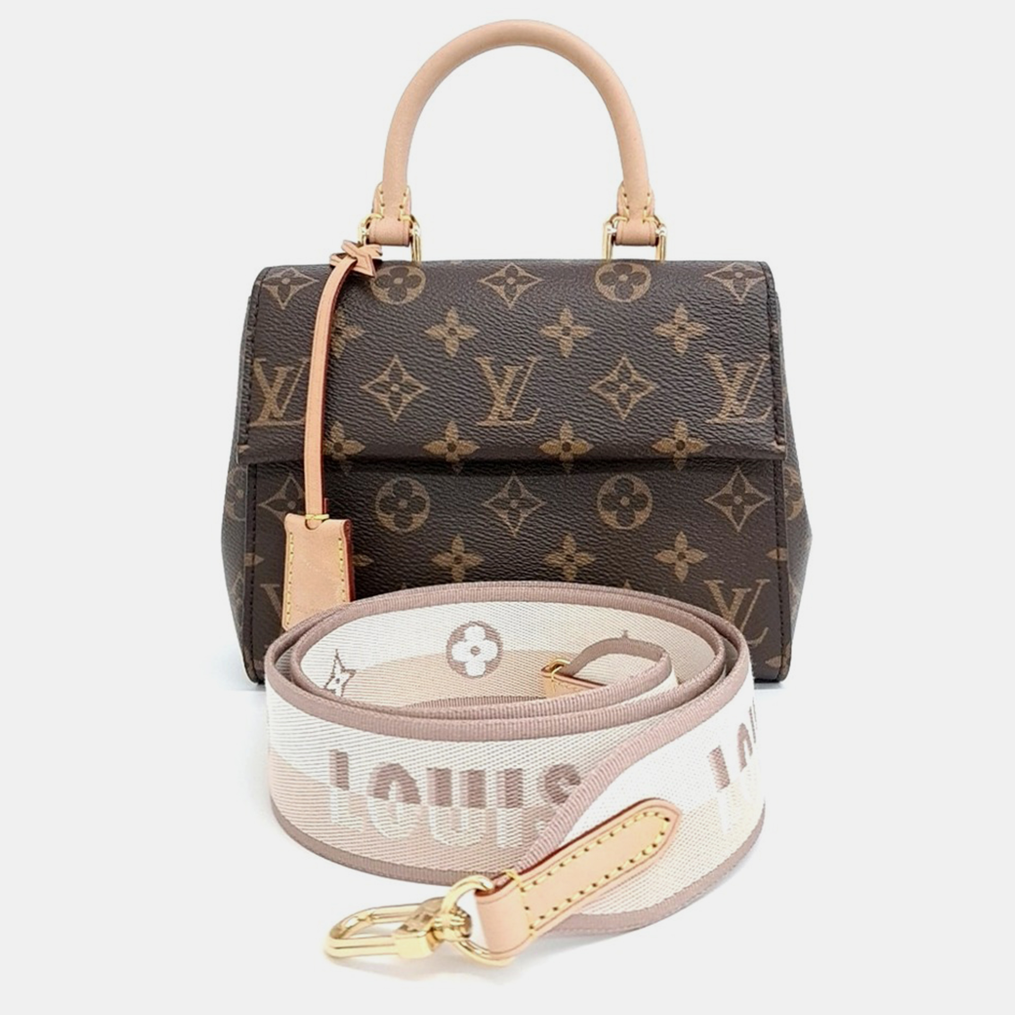 

Louis Vuitton Brown Canvas Monogram Cluny Mini bag