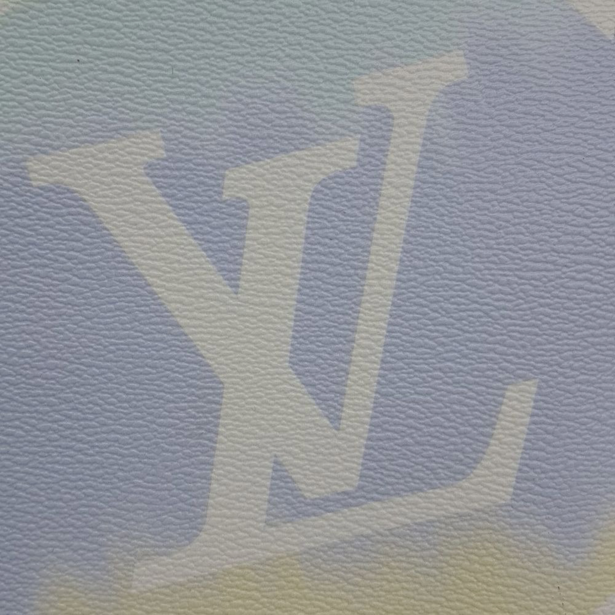 Louis Vuitton Multicolor PVC Escal On The Go GM Bag 