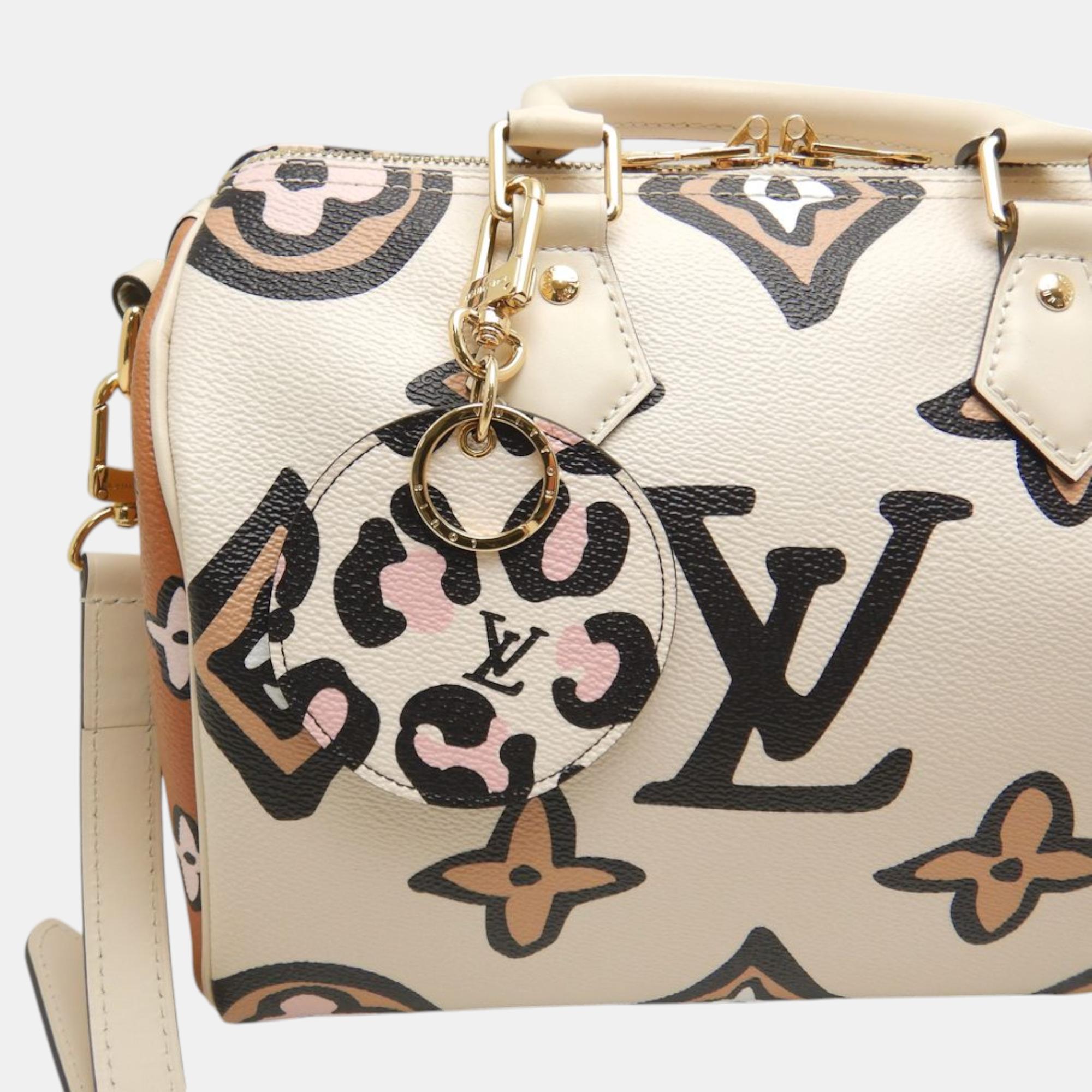Louis Vuitton White Canvas Bandouliere 25 Handbag 