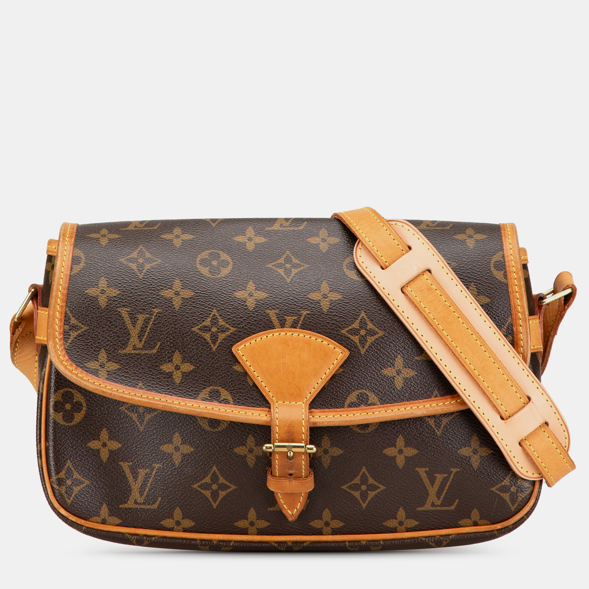 

Louis Vuitton Monogram Sologne Bag, Brown