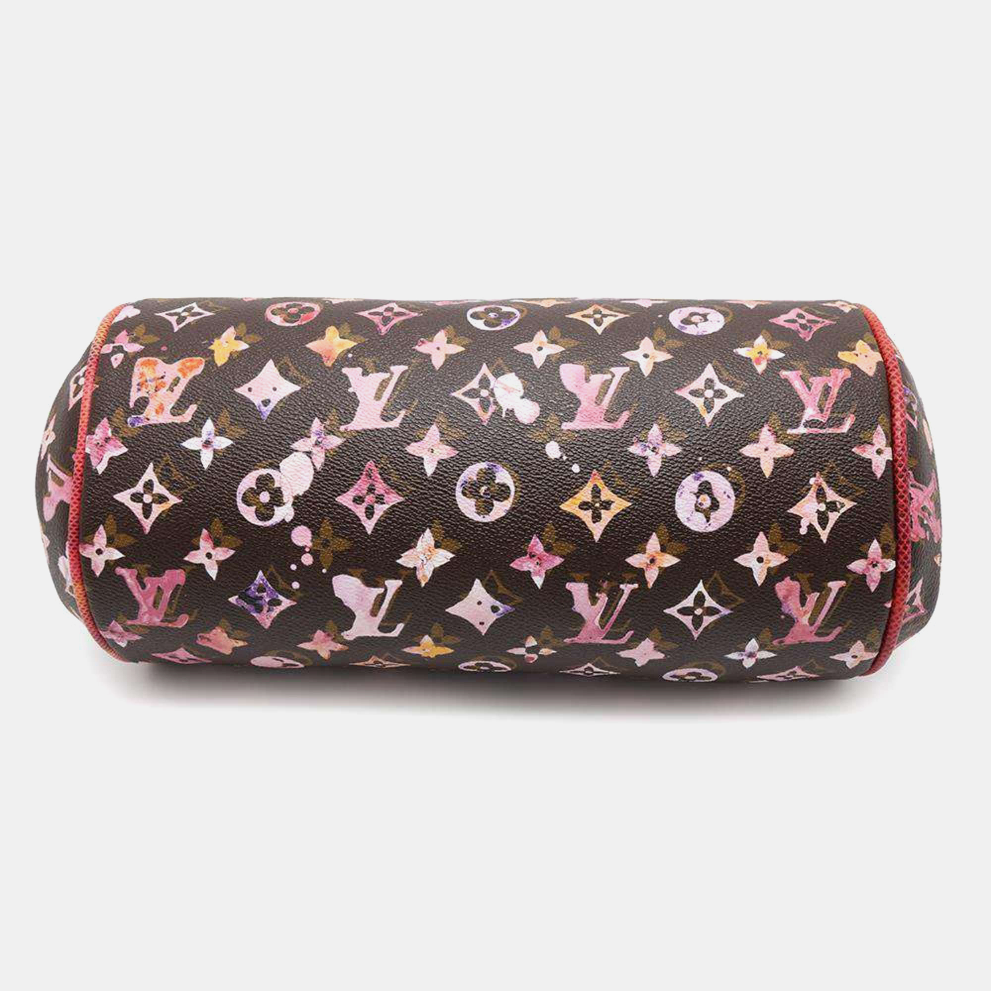 Louis Vuitton Marron Monogram Watercolor Papillon Handbag 