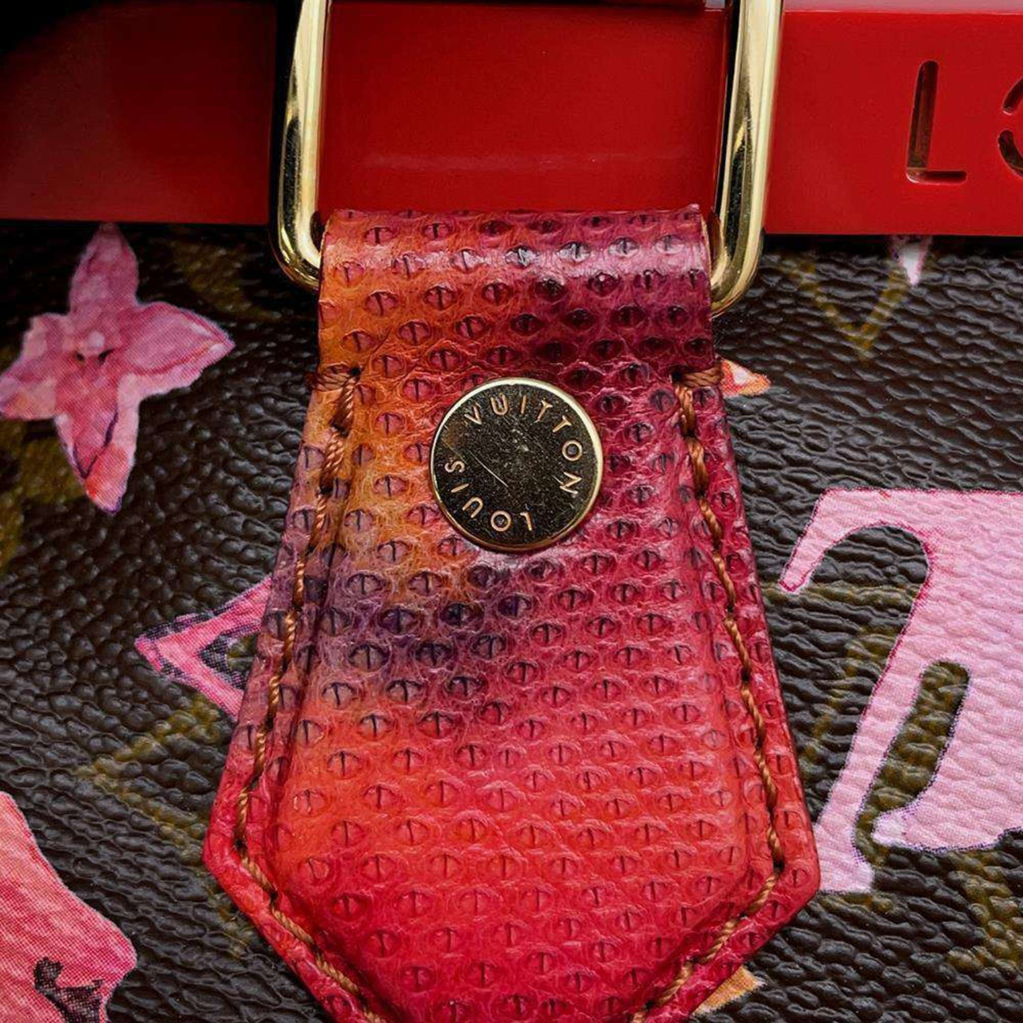 Louis Vuitton Marron Monogram Watercolor Papillon Handbag 