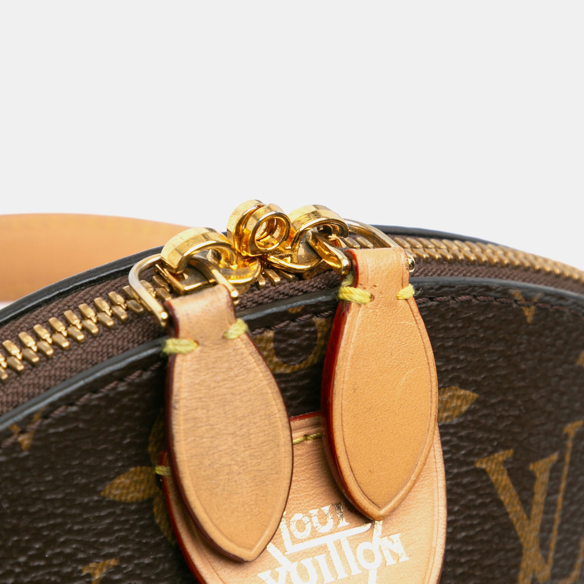 Louis Vuitton Brown Monogram Moon Backpack 