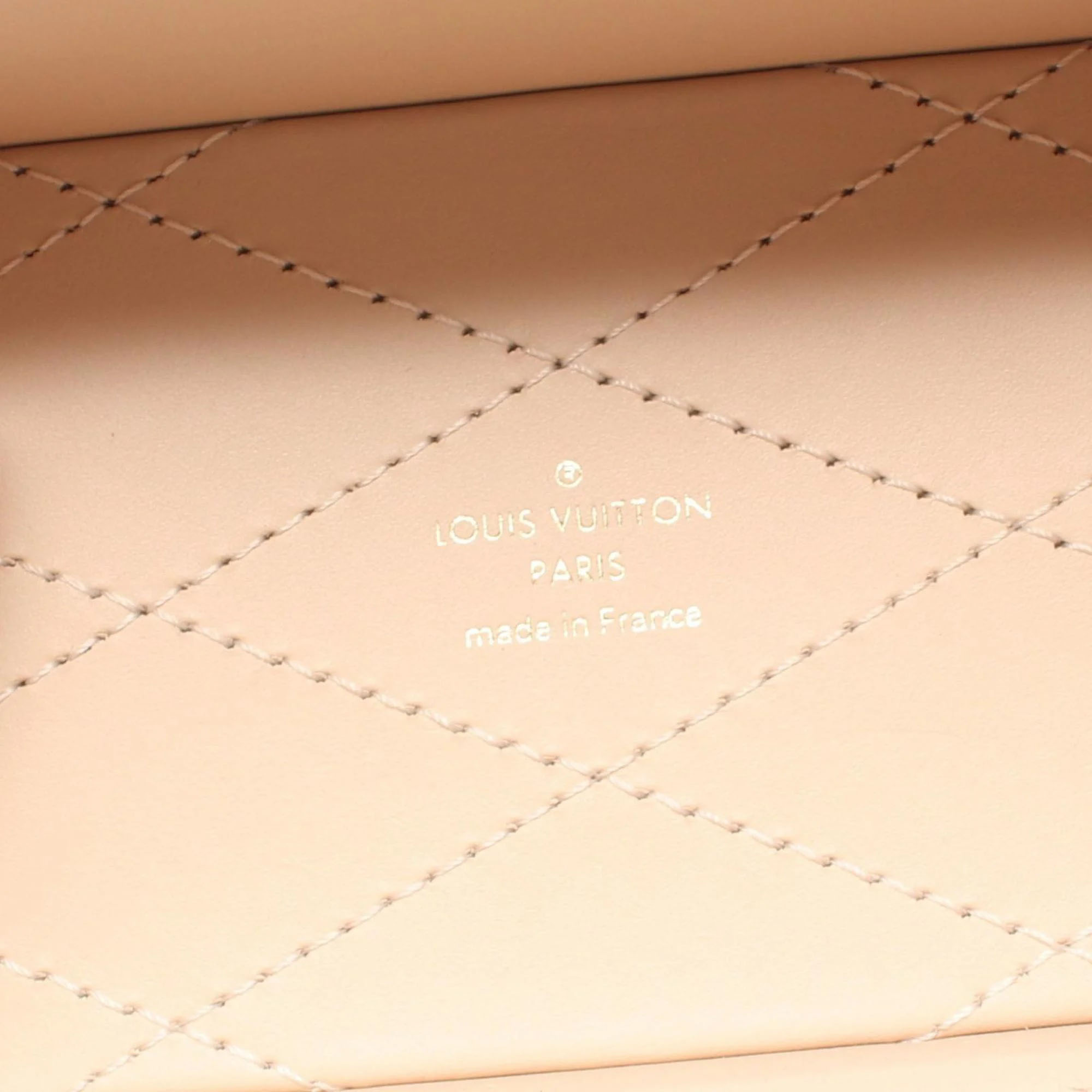 Louis Vuitton Brown Monogram Canvas Camera Bag 