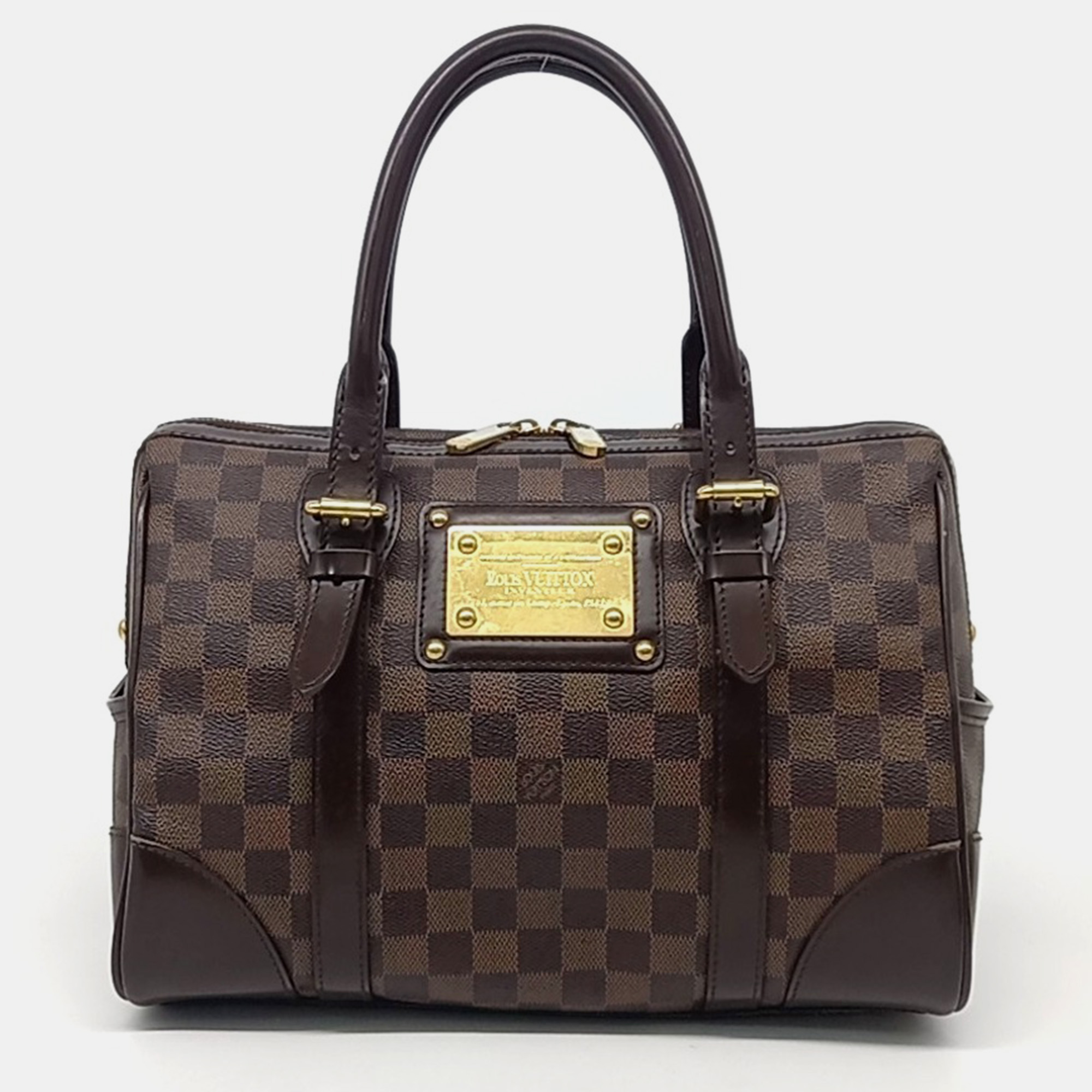 

Louis Vuitton Brown Canvas Damier Berkeley bag