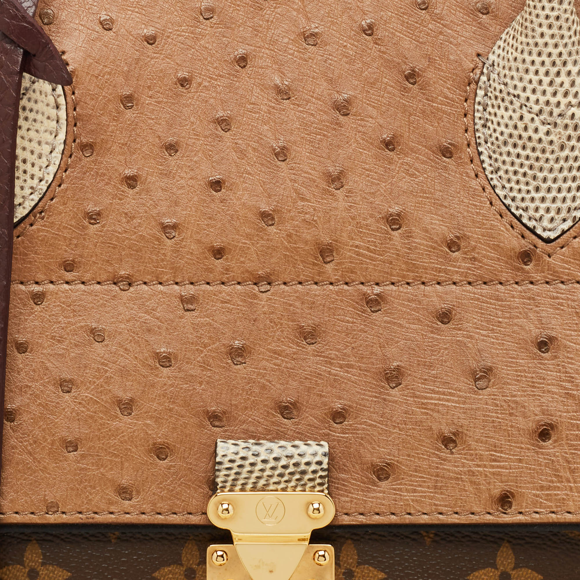 Louis Vuitton Monogram Limited Edition Exotique Majestueux MM Bag 
