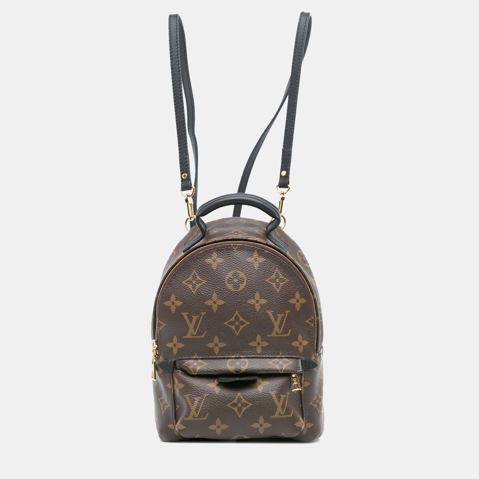 

Louis Vuitton Monogram Mini Palm Springs, Brown