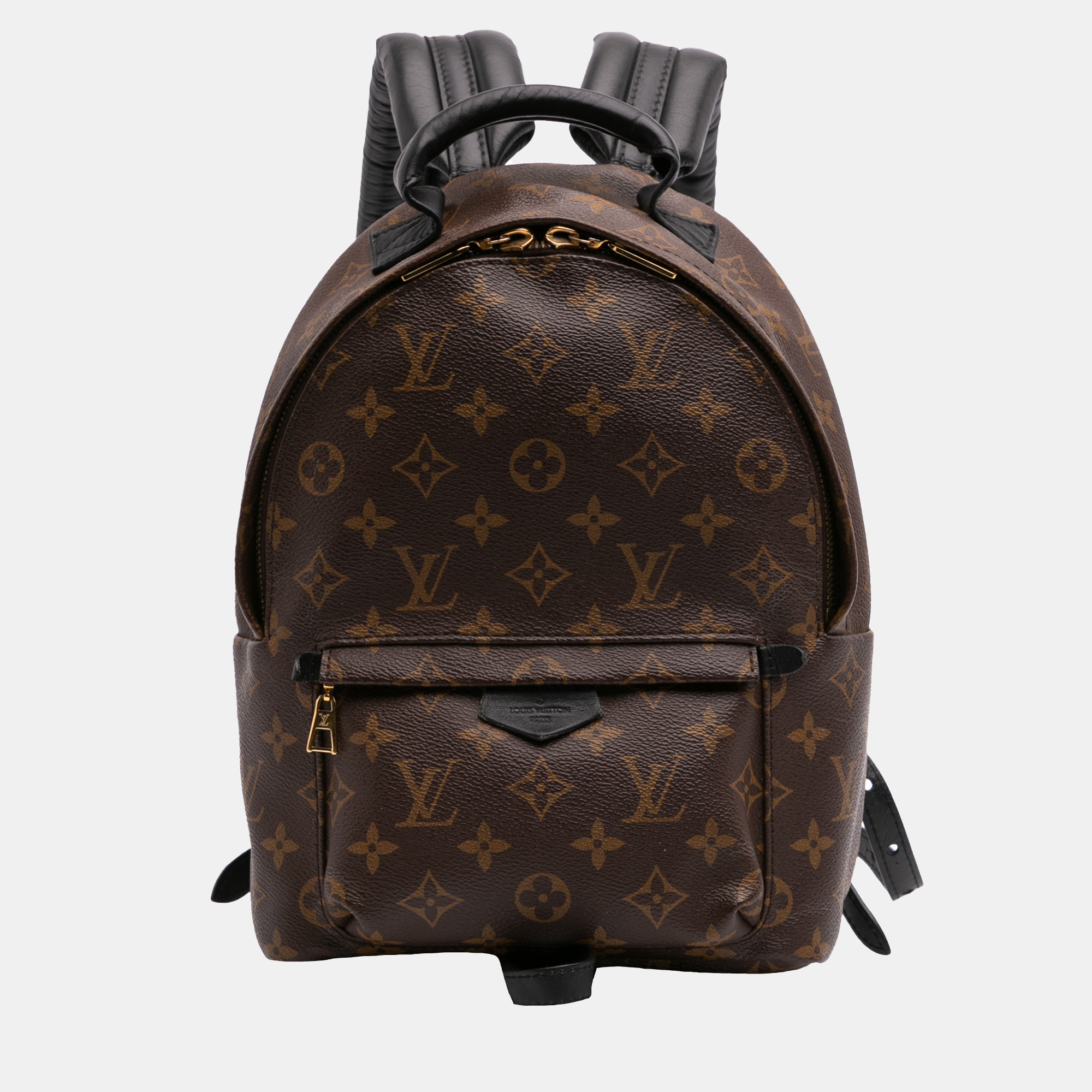 

Louis Vuitton Brown Monogram Palm Springs PM