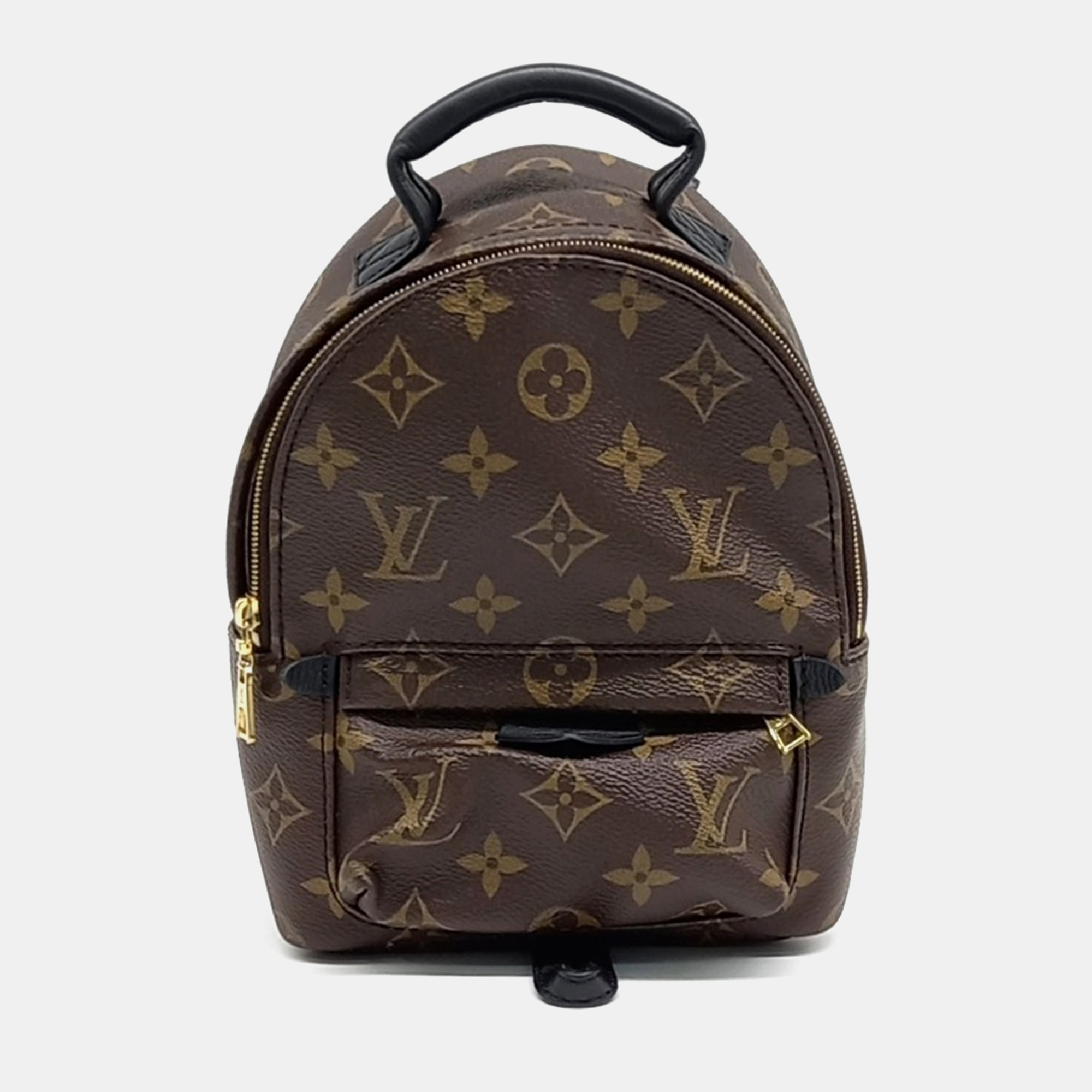 

Louis Vuitton Brown Coated Canvas Palm Springs Mini Backpack