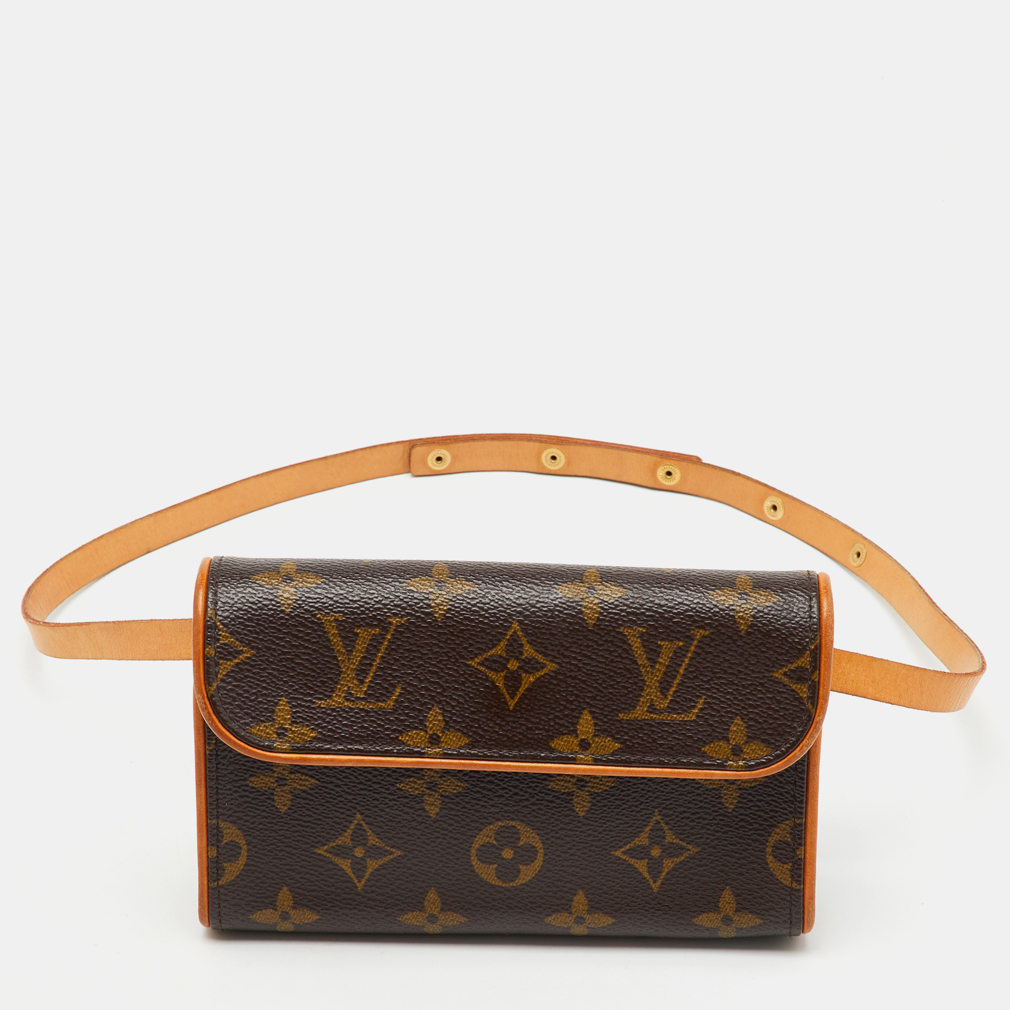 

Louis Vuitton Monogram Canvas Pochette Florentine Bag, Brown