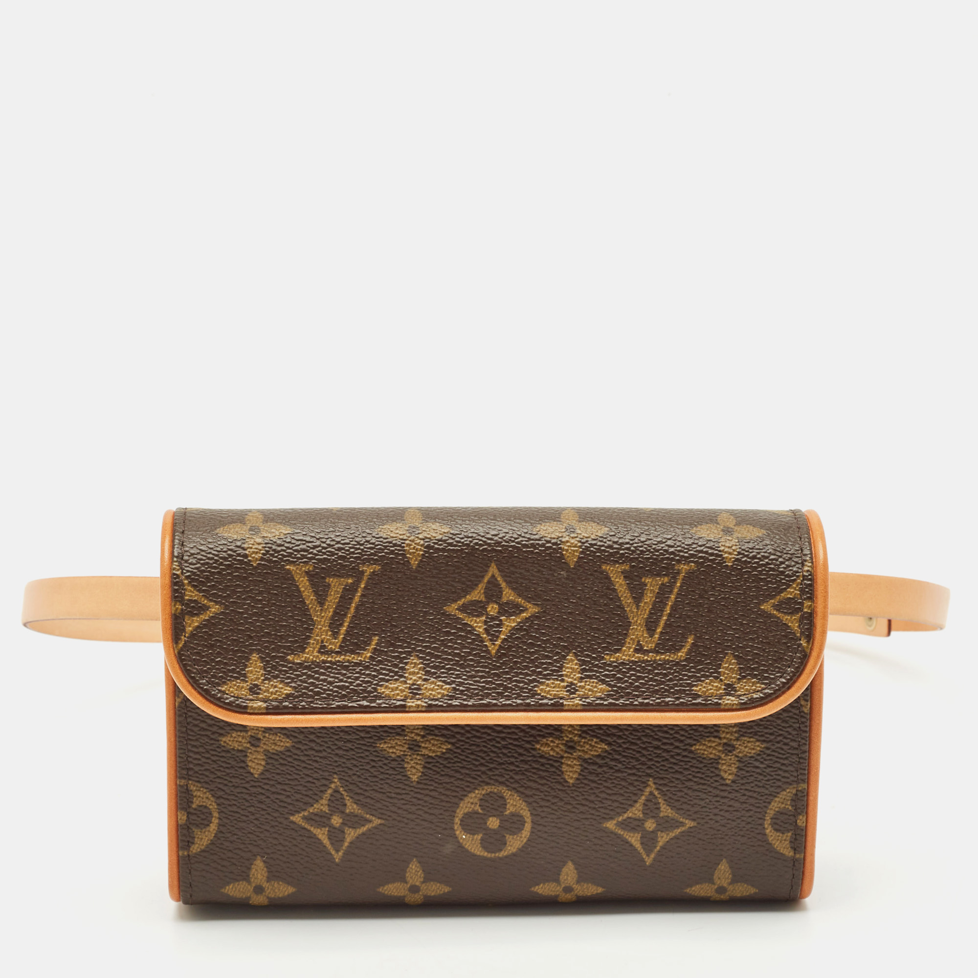 

Louis Vuitton Monogram Canvas Pochette Florentine Bag, Brown