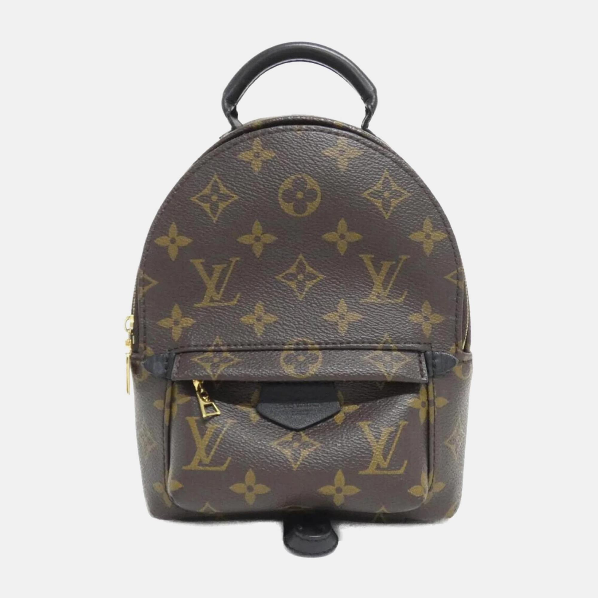 

Louis Vuitton Monogram Palm Springs Backpack Mini, Brown