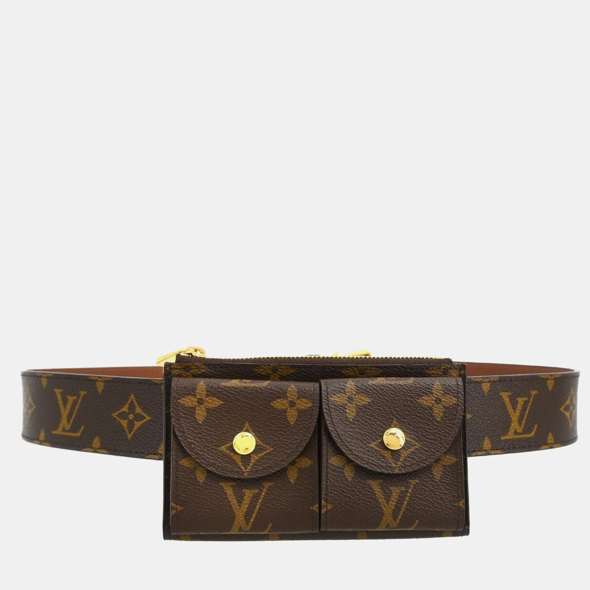 

Louis Vuitton Ceinture Pochette Duo Waist Bum Bag, Brown