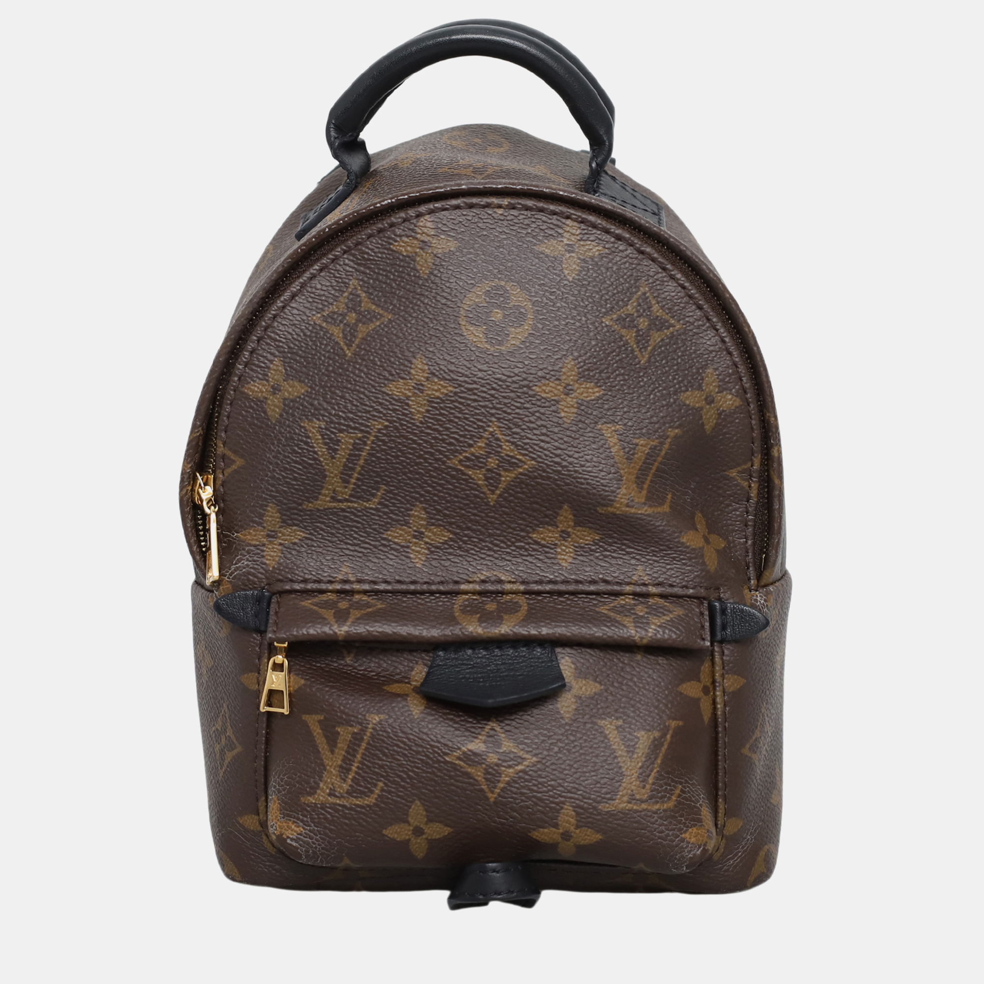 

Louis Vuitton Brown Monogram Palm Spring Mini Backpack