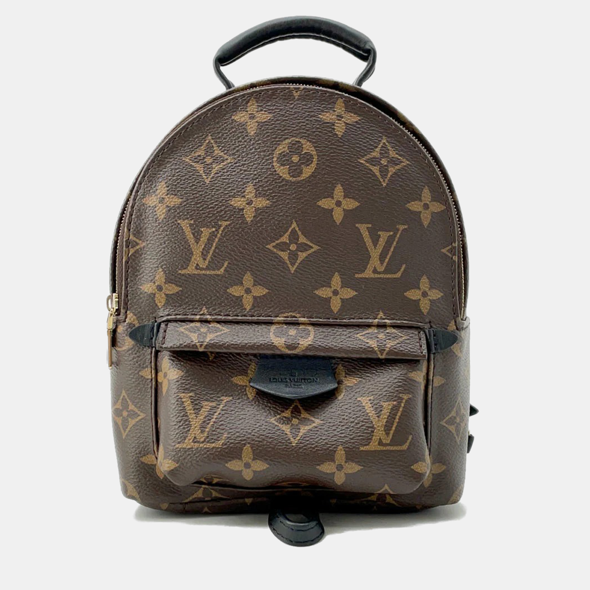 

Louis Vuitton Brown Monogram Palm Springs Backpack MINI