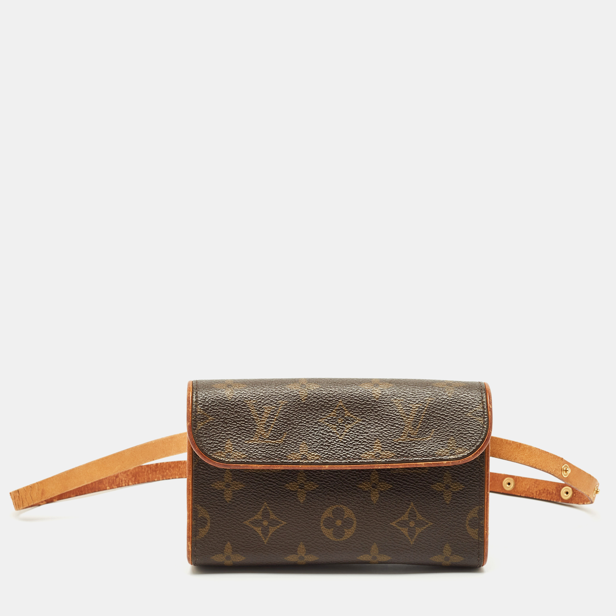 

Louis Vuitton Monogram Canvas Pochette Florentine Belt Bag, Brown