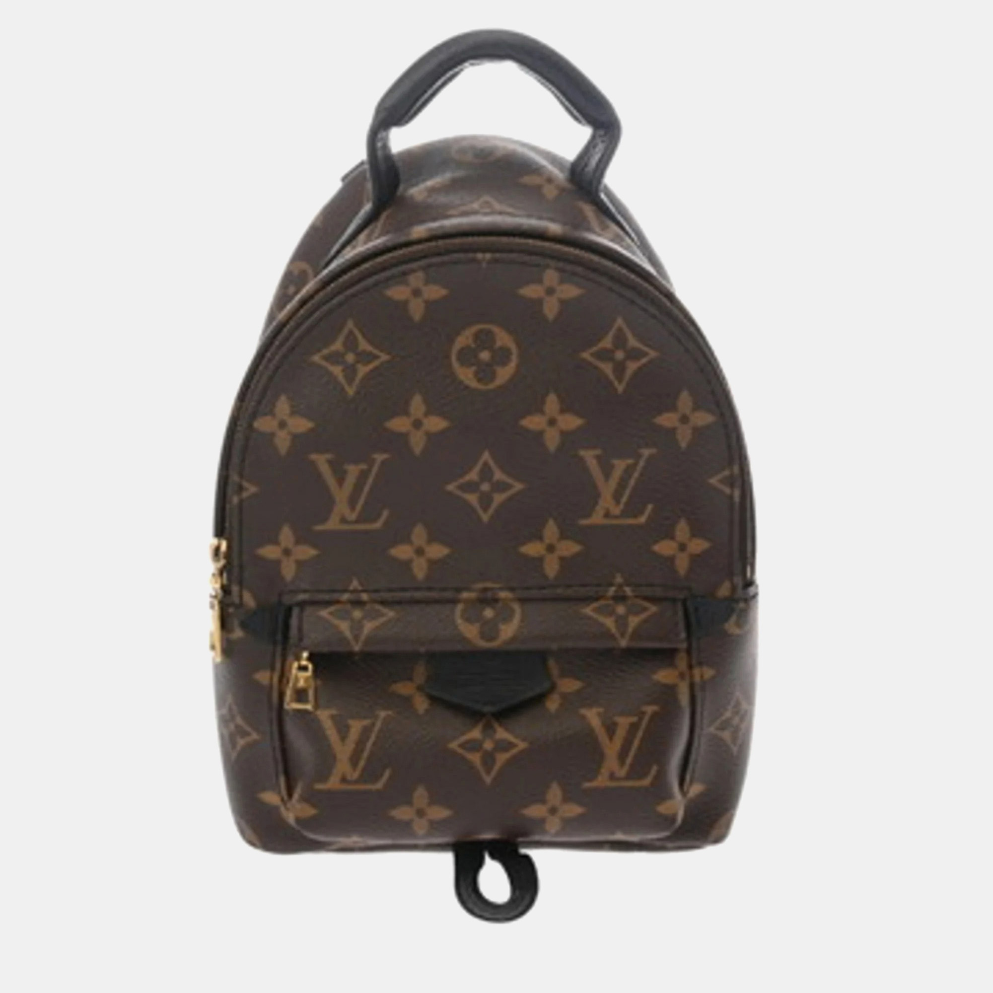 

Louis Vuitton Palm Springs Mini Brown Monogram Canvas Backpack