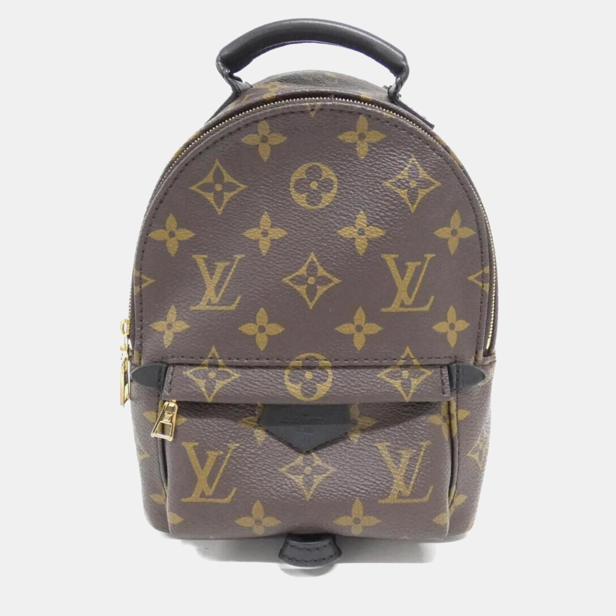

Louis Vuitton Palm Springs Mini Brown Monogram Canvas Backpack