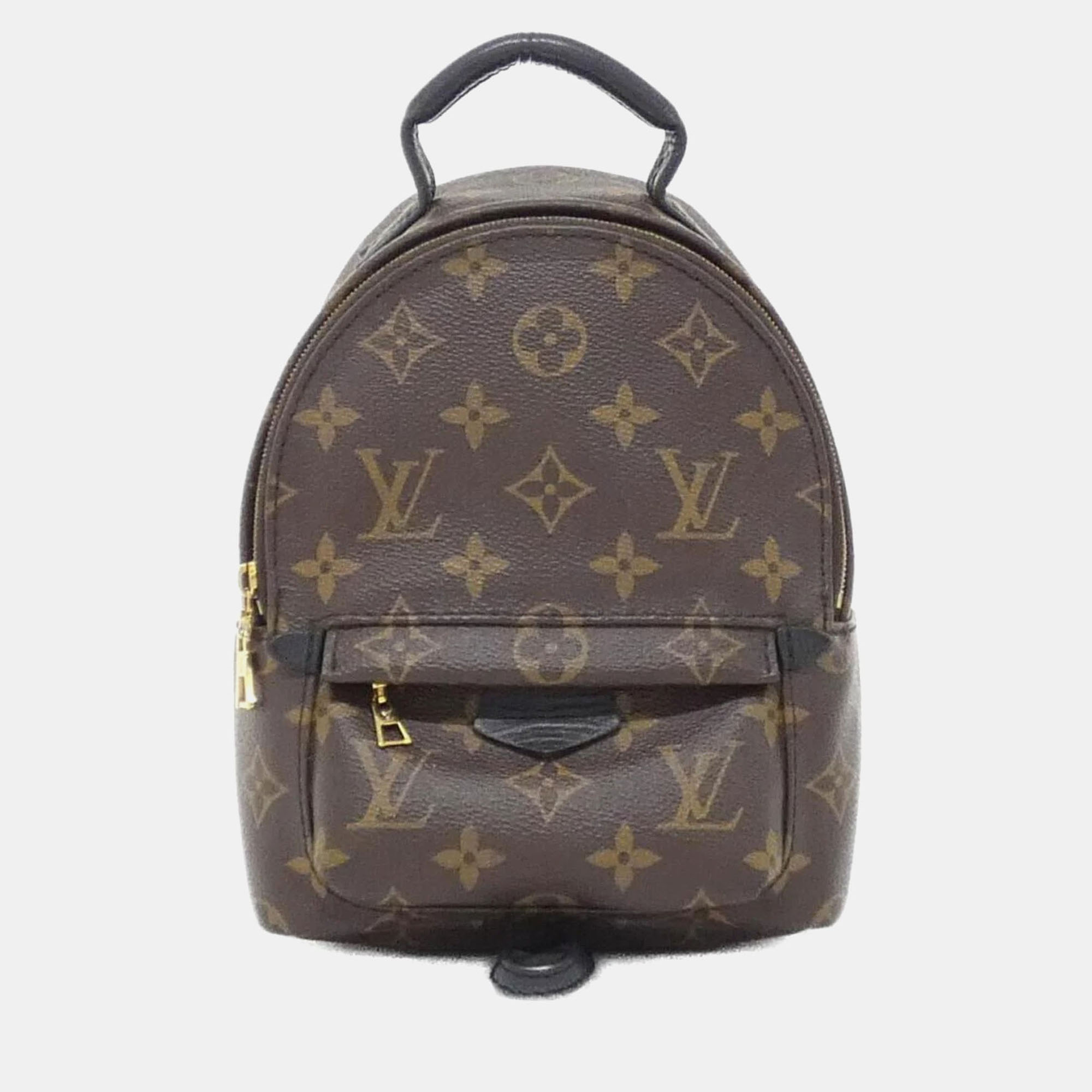 

Louis Vuitton Palm Springs Mini Monogram Backpack, Brown