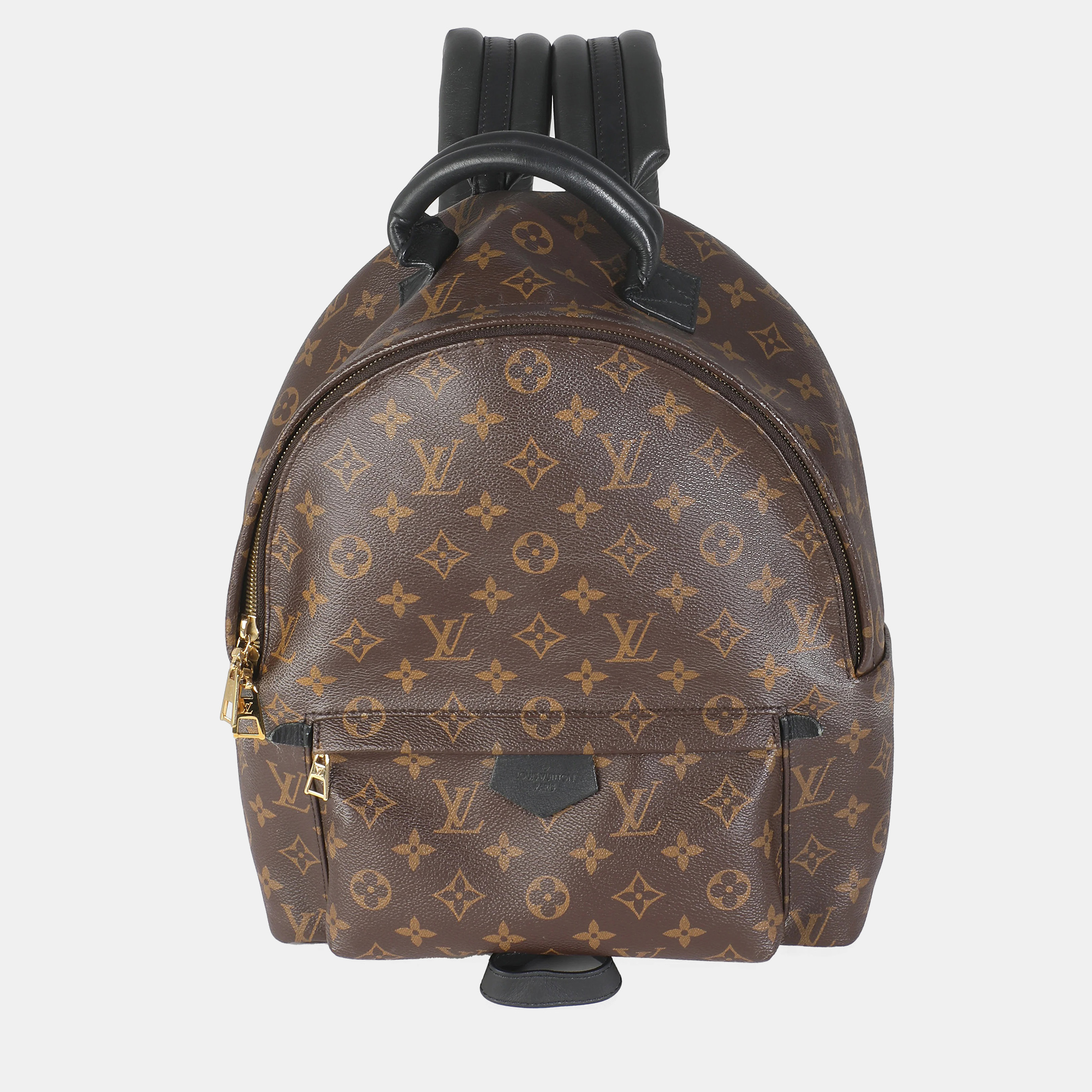 

Louis Vuitton Monogram Canvas Palm Springs MM, Brown