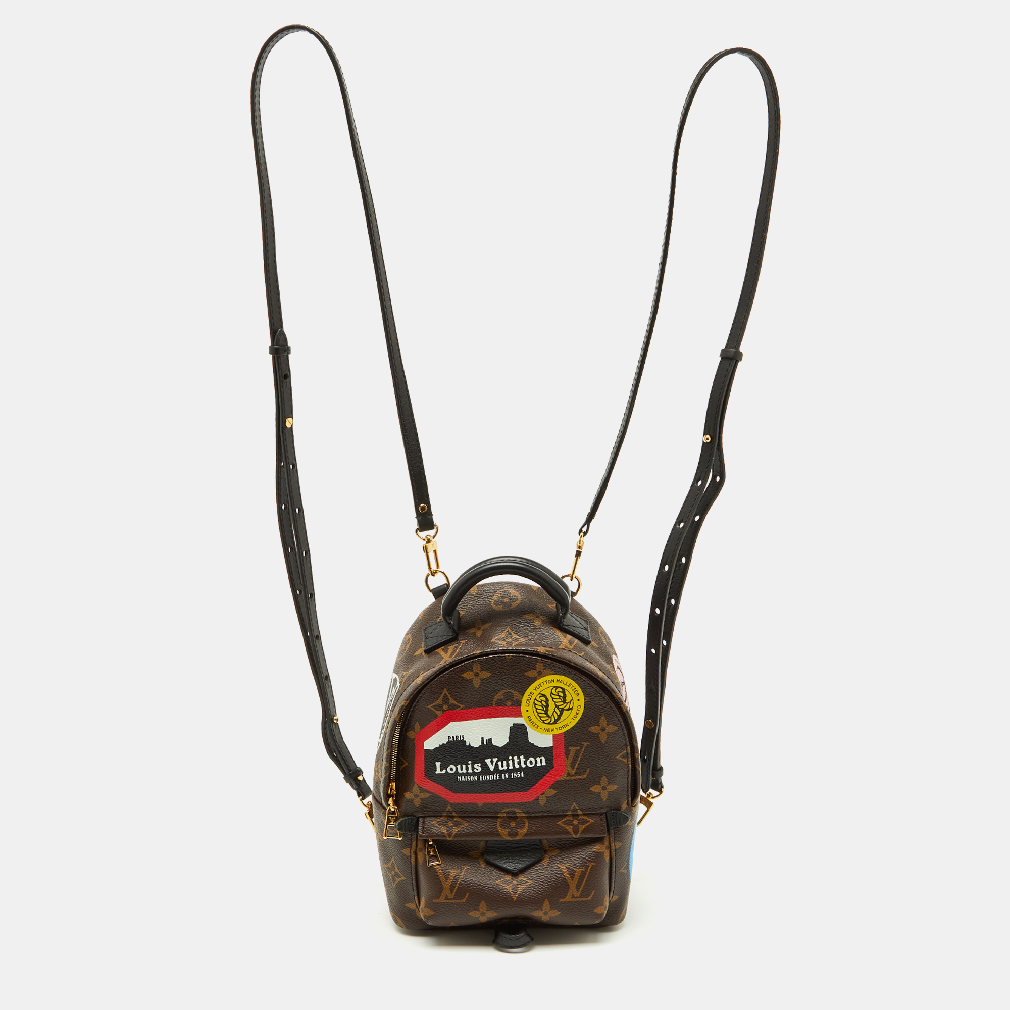 Pre-owned Louis Vuitton Monogram Canvas World Tour Palm Springs Mini Backpack In Brown