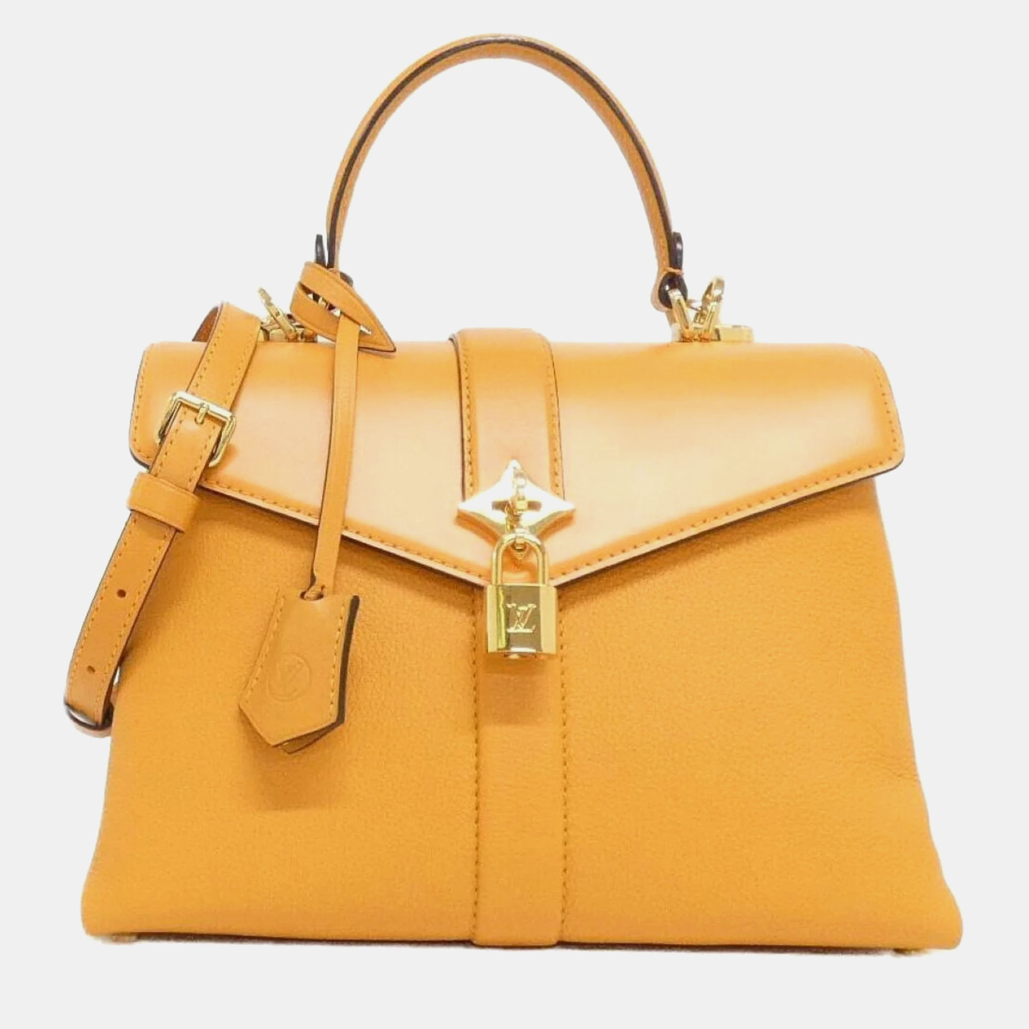

Louis Vuitton Rose des Vents Orange Calf Leather Handbag