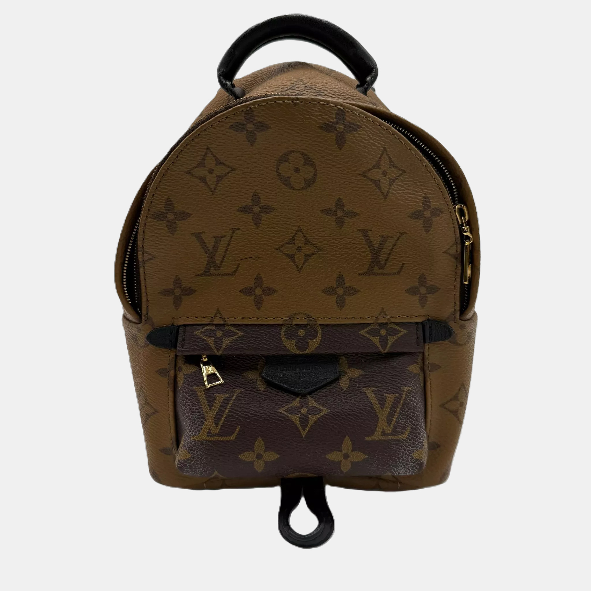 Pre-owned Louis Vuitton Palm Springs Mini Brown Monogram Canvas Backpack