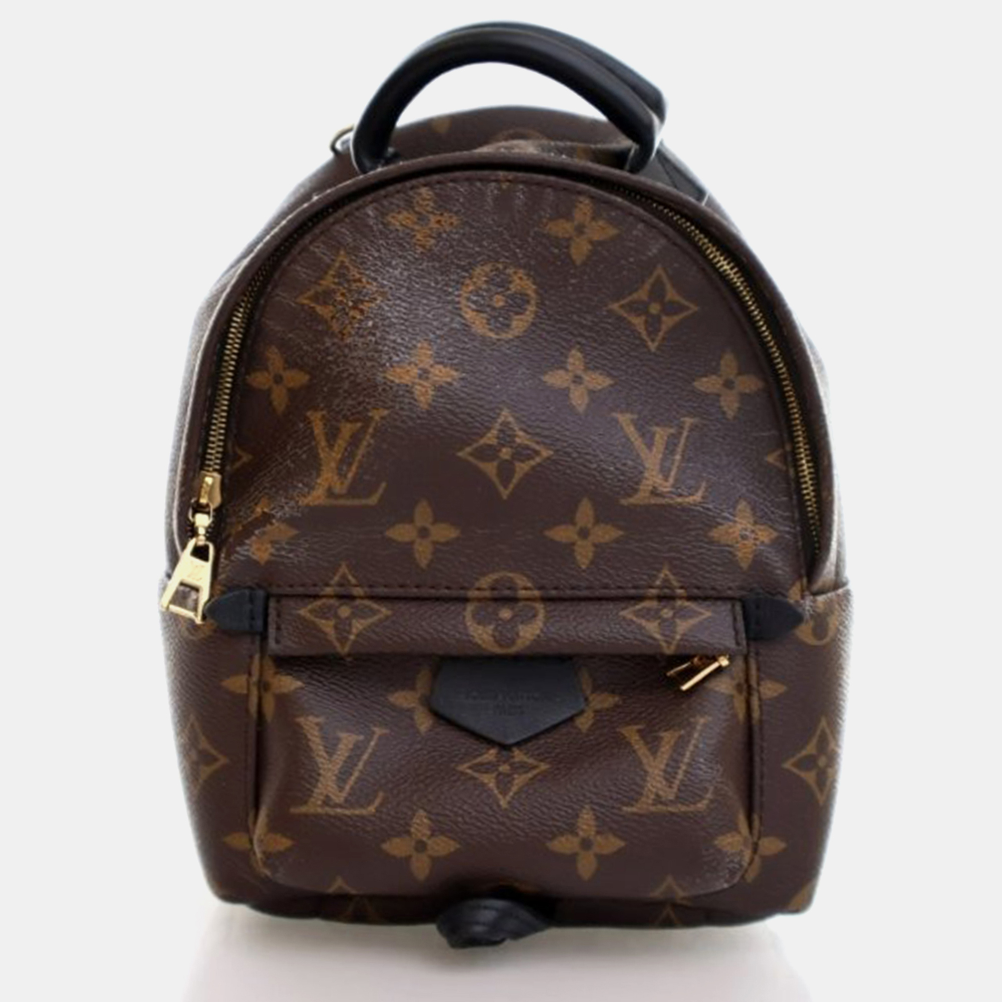 Pre-owned Louis Vuitton Monogram Palm Springs Mini In Brown