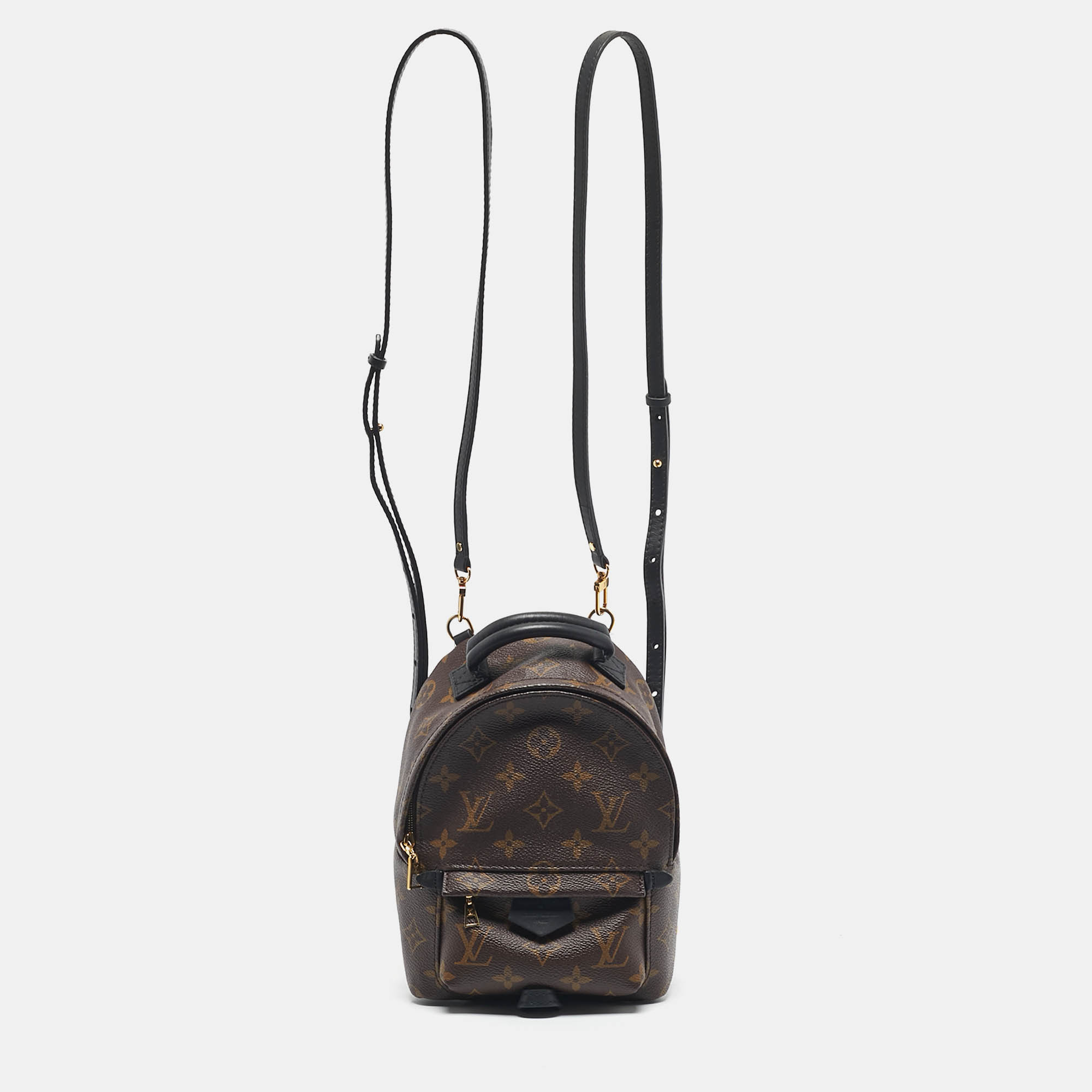 Pre-owned Louis Vuitton Monogram Canvas Mini Palm Springs Backpack In Brown