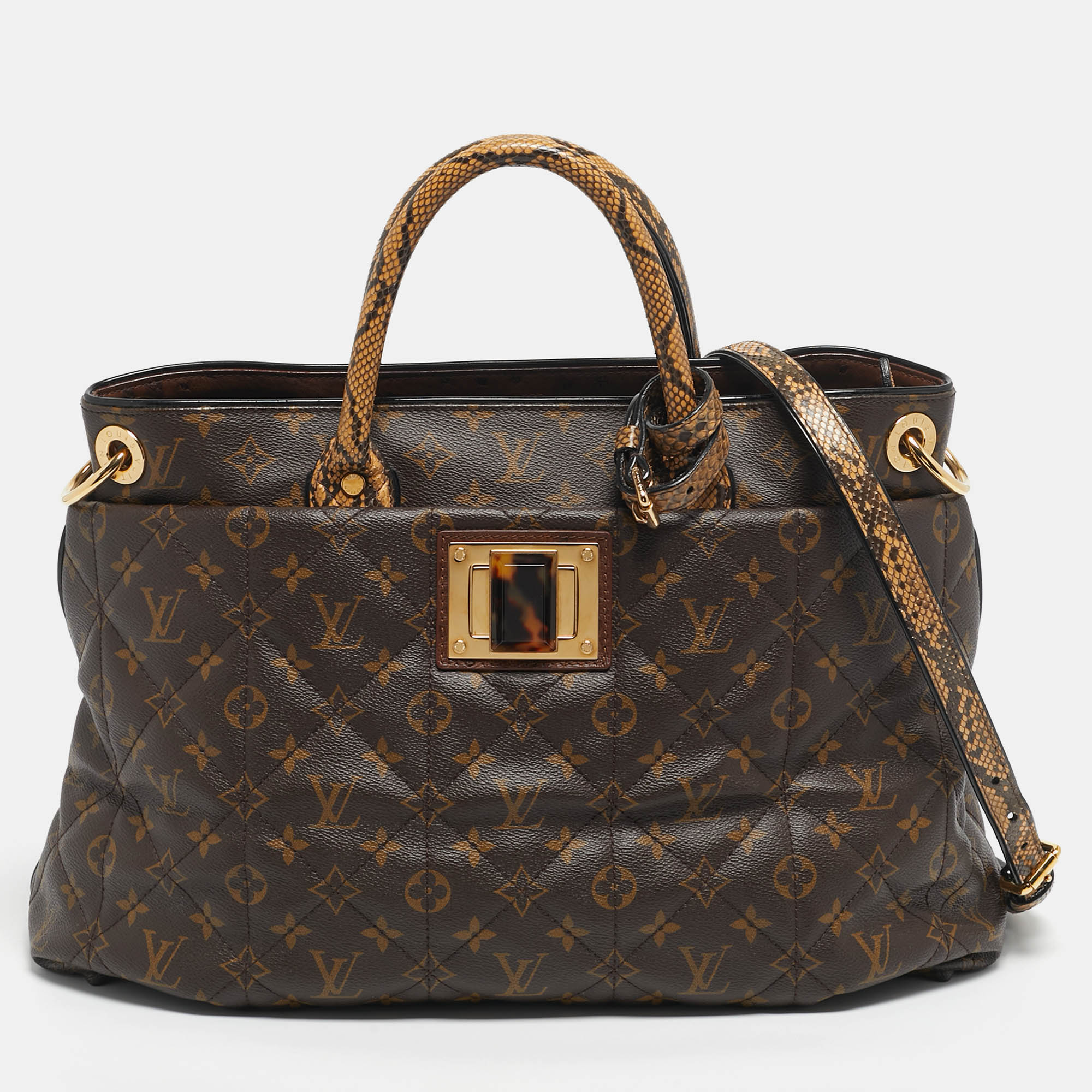 

Louis Vuitton Monogram Canvas Limited Edition Etoile Exotique GM Bag, Brown