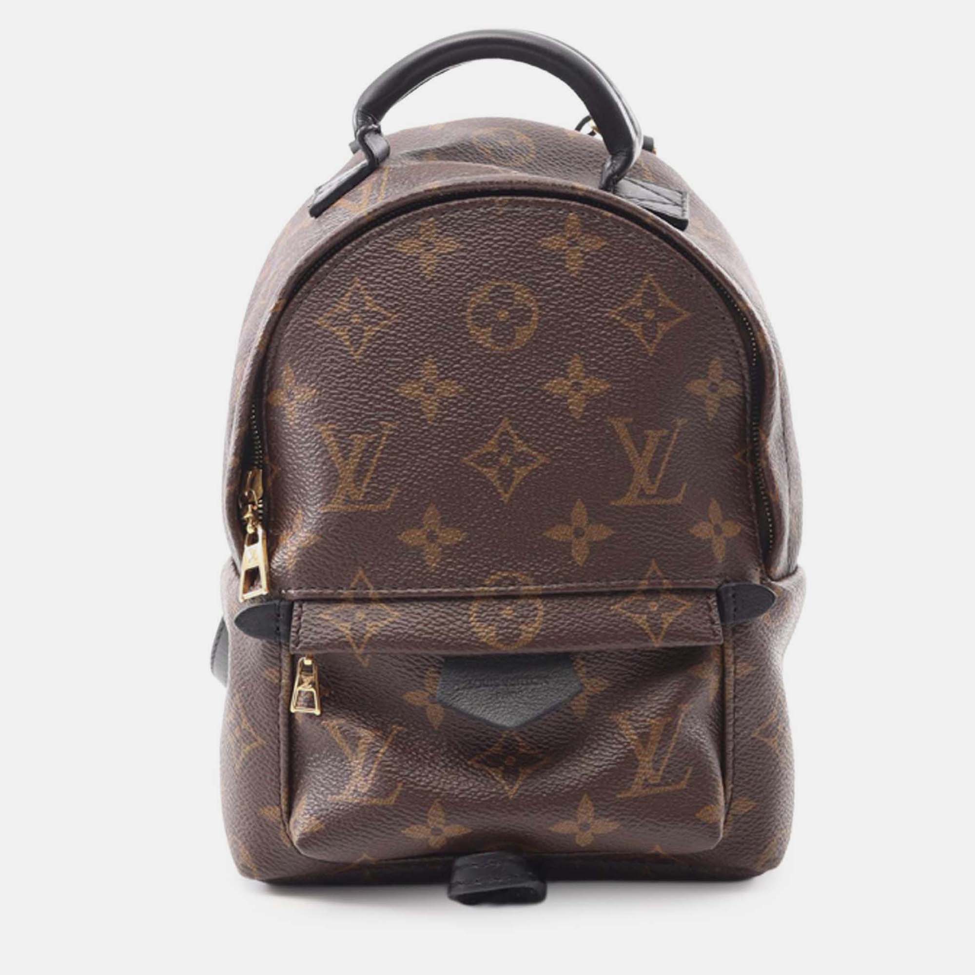 

Louis Vuitton Brown Monogram Mini Palm Springs