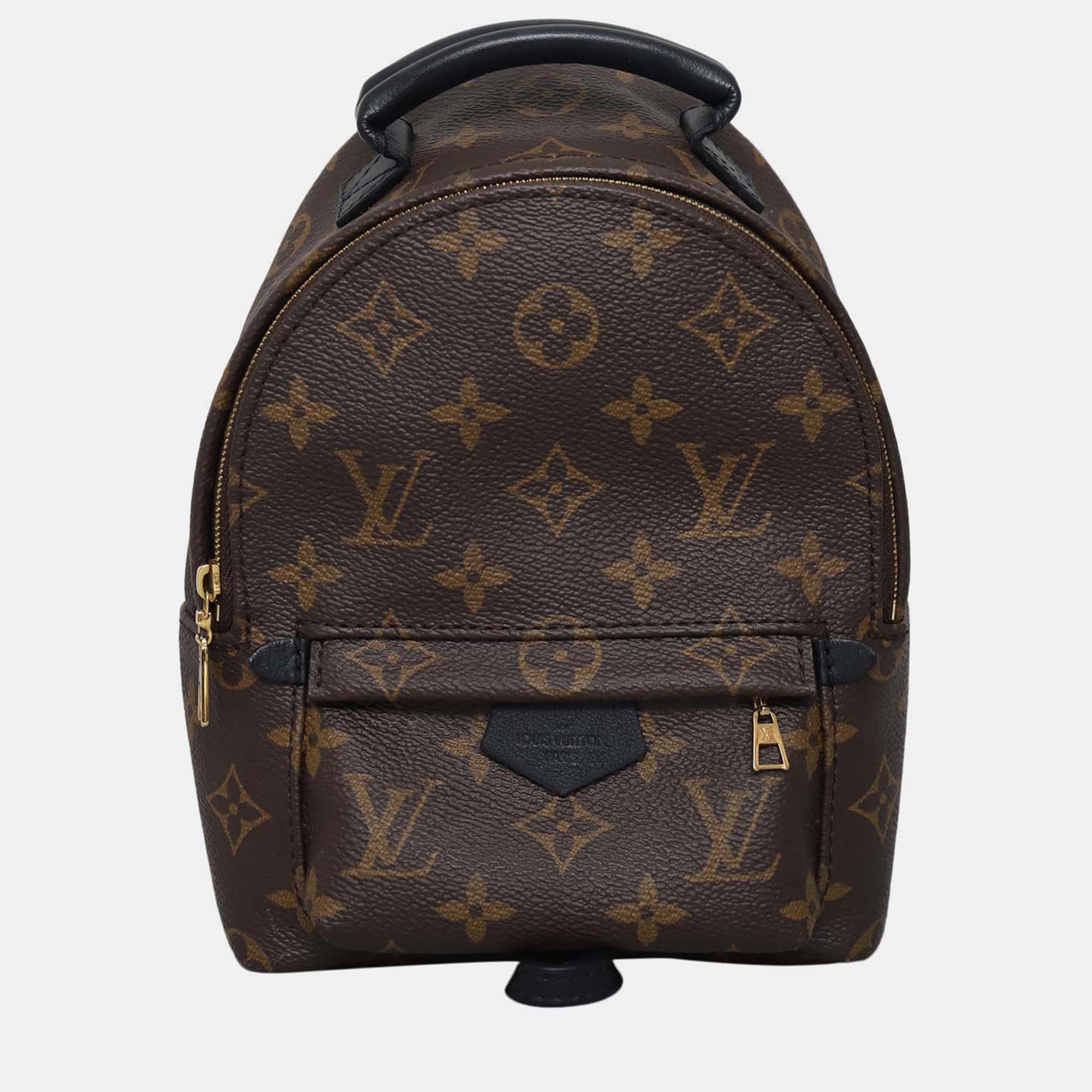 Pre-owned Louis Vuitton Monogram Mini Palm Springs Backpack In Brown