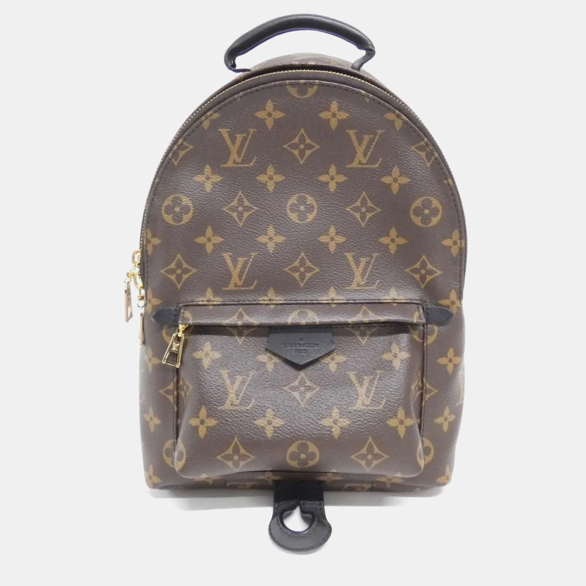 

Louis Vuitton Palm Springs PM Monogram Coated Canvas Rucksack, Brown