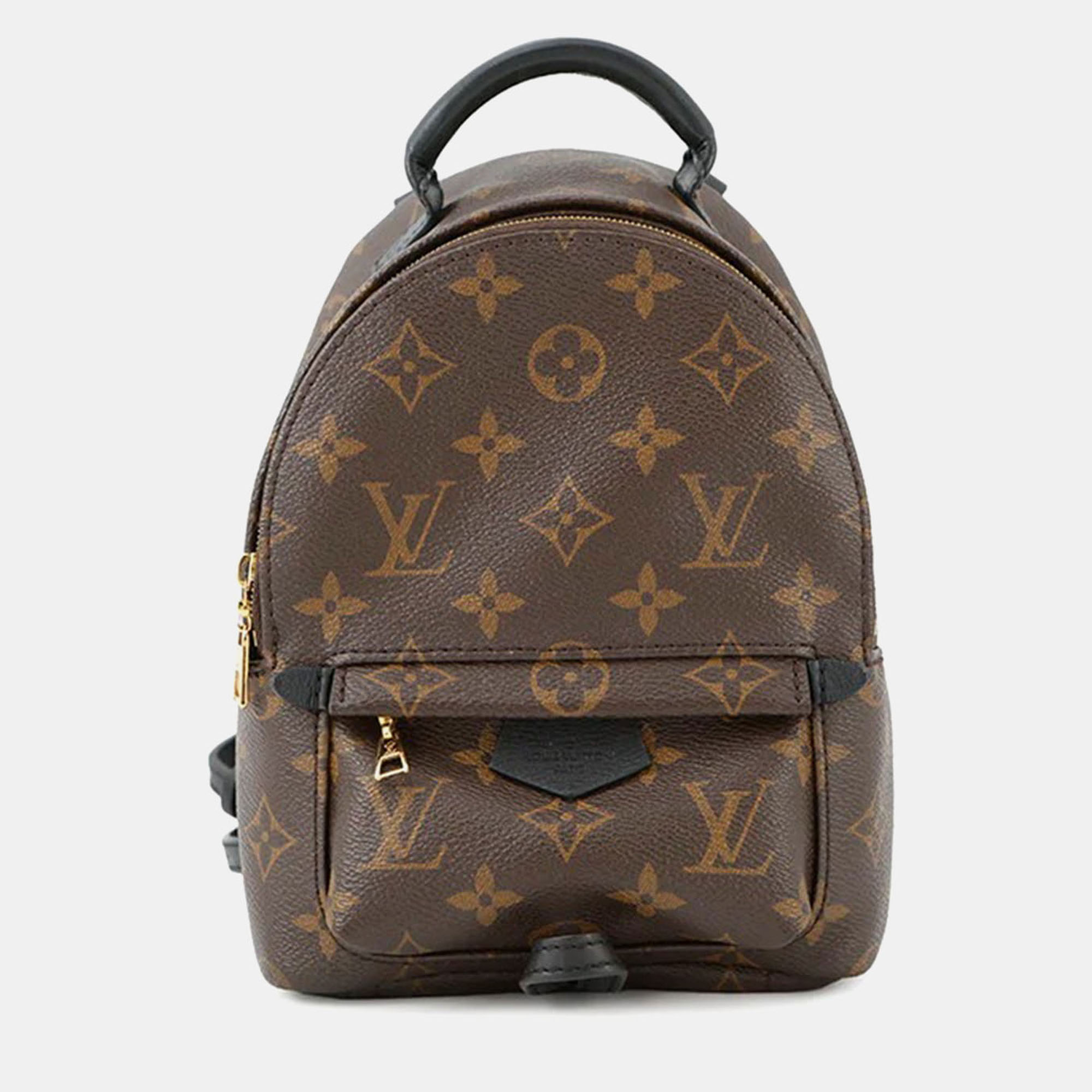 

Louis Vuitton Palm Springs Mini Noir Monogram Canvas Backpack, Brown