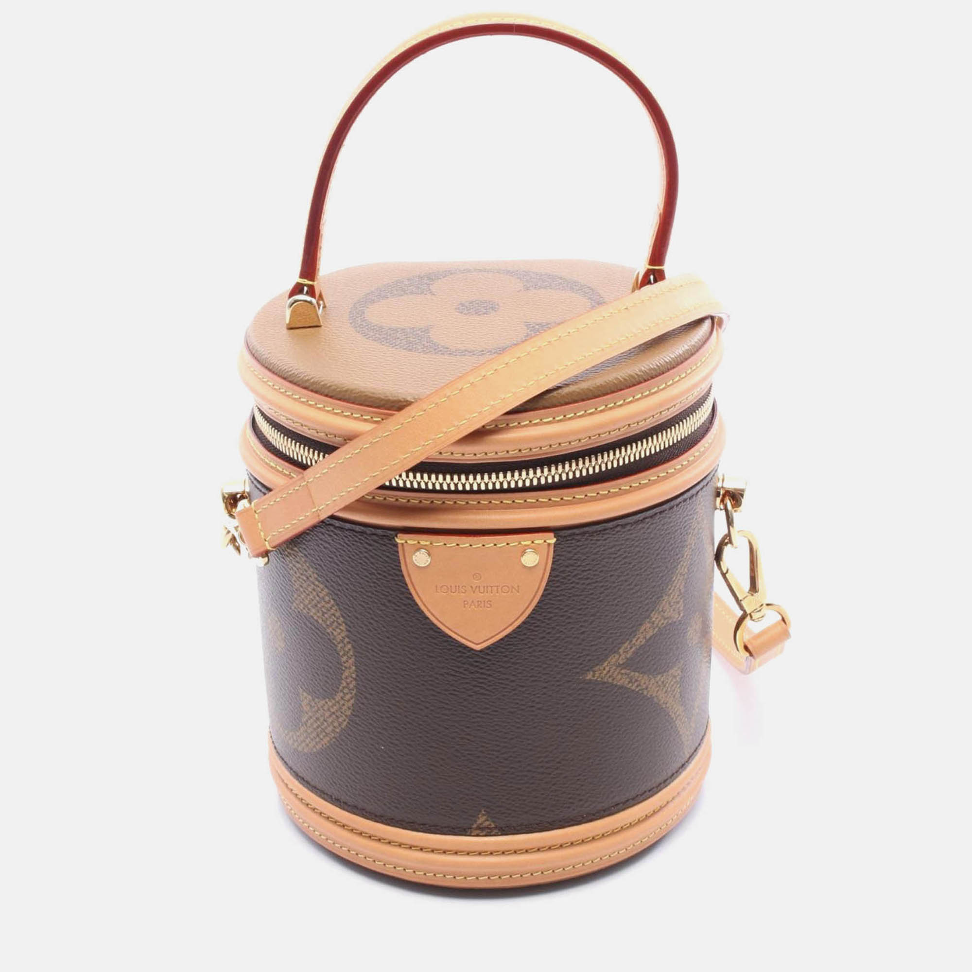 Pre-owned Louis Vuitton Cannes Shoulder Handbag Monogram Giant Reverse Canvas In Brown