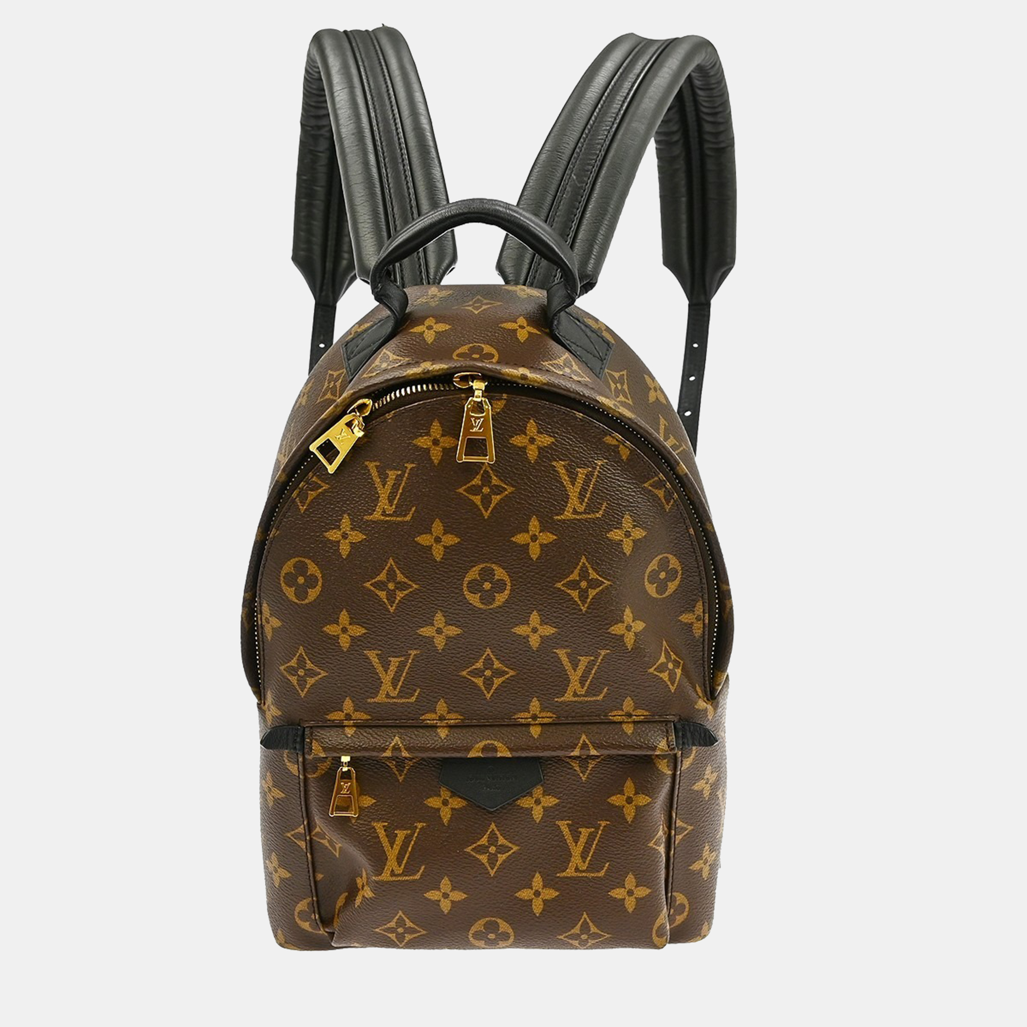 

Louis Vuitton Monogram Palm Springs PM Backpack, Brown