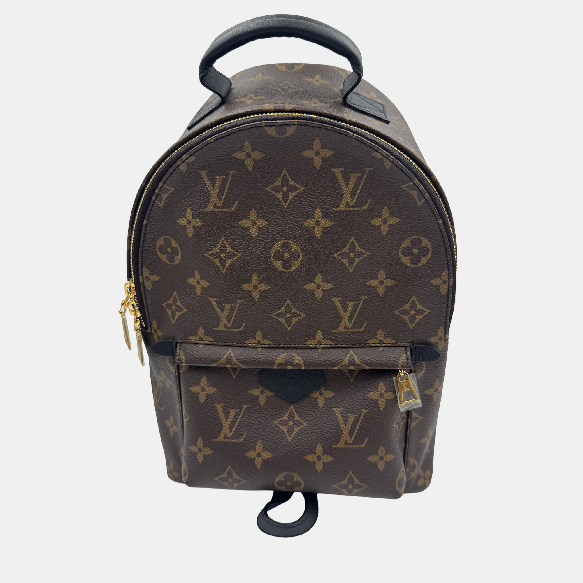 Pre-owned Louis Vuitton Palm Springs Pm Monogram Canvas Backpack In Brown