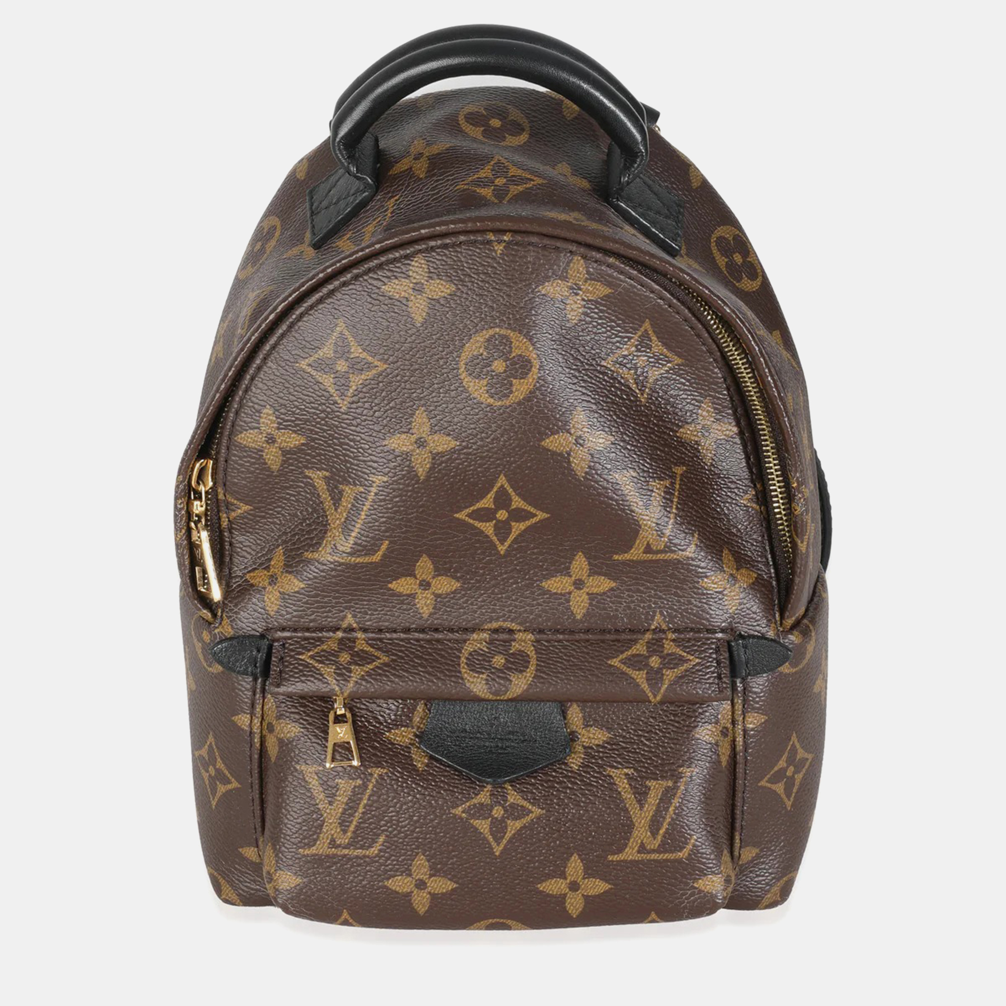 

Louis Vuitton Monogram Canvas Mini Palm Springs, Brown