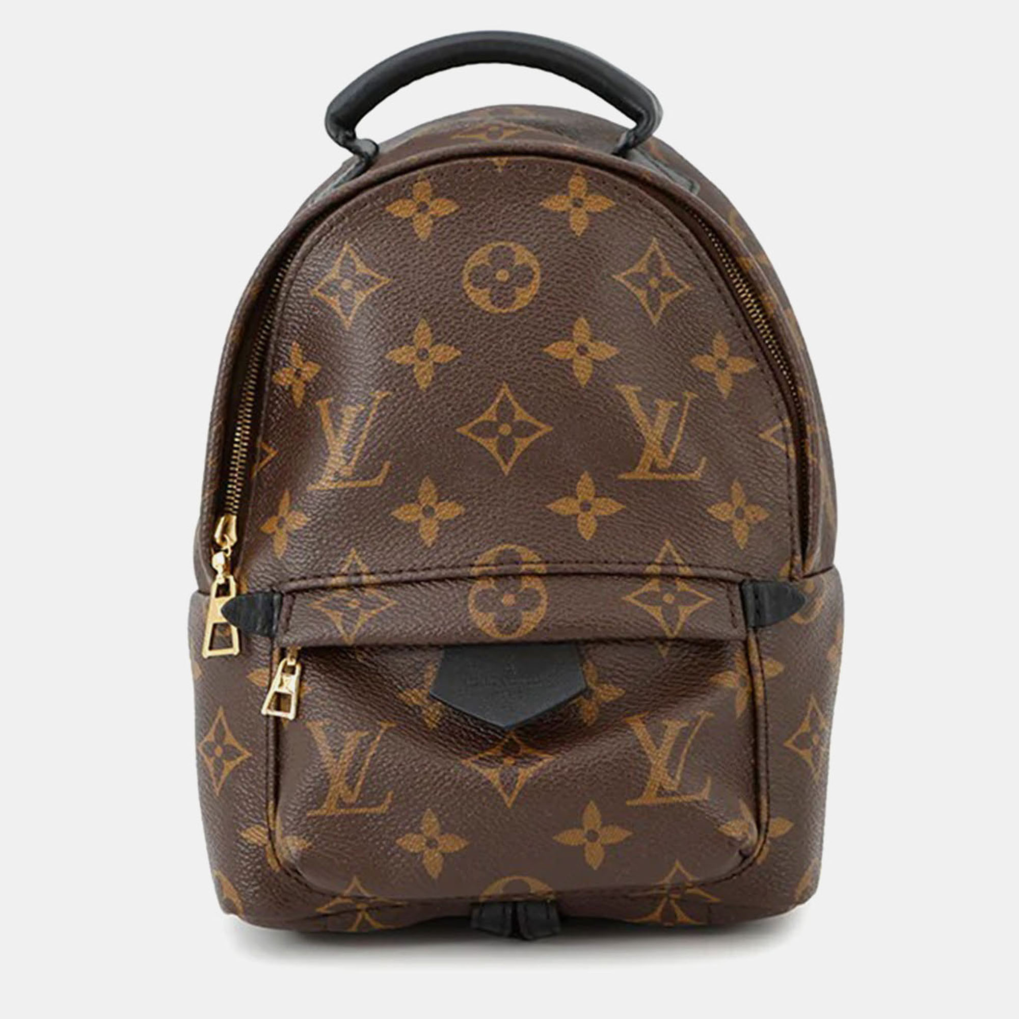 

Louis Vuitton Palm Springs Brown Monogram Mini Backpack