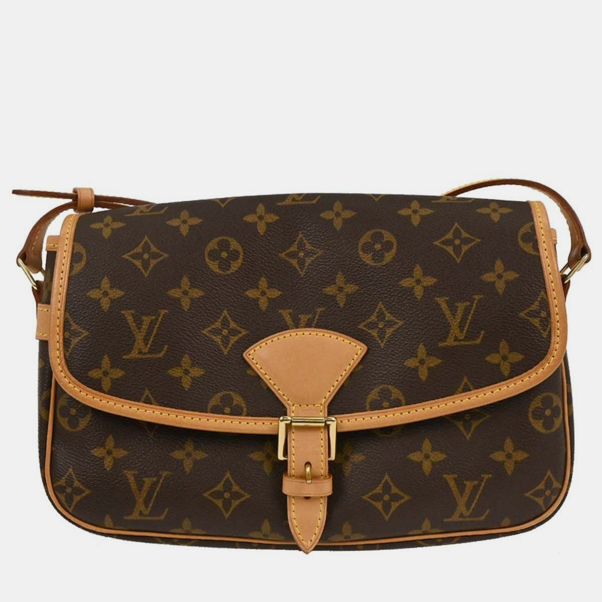 

Louis Vuitton Monogram Sologne Shoulder Bag, Brown