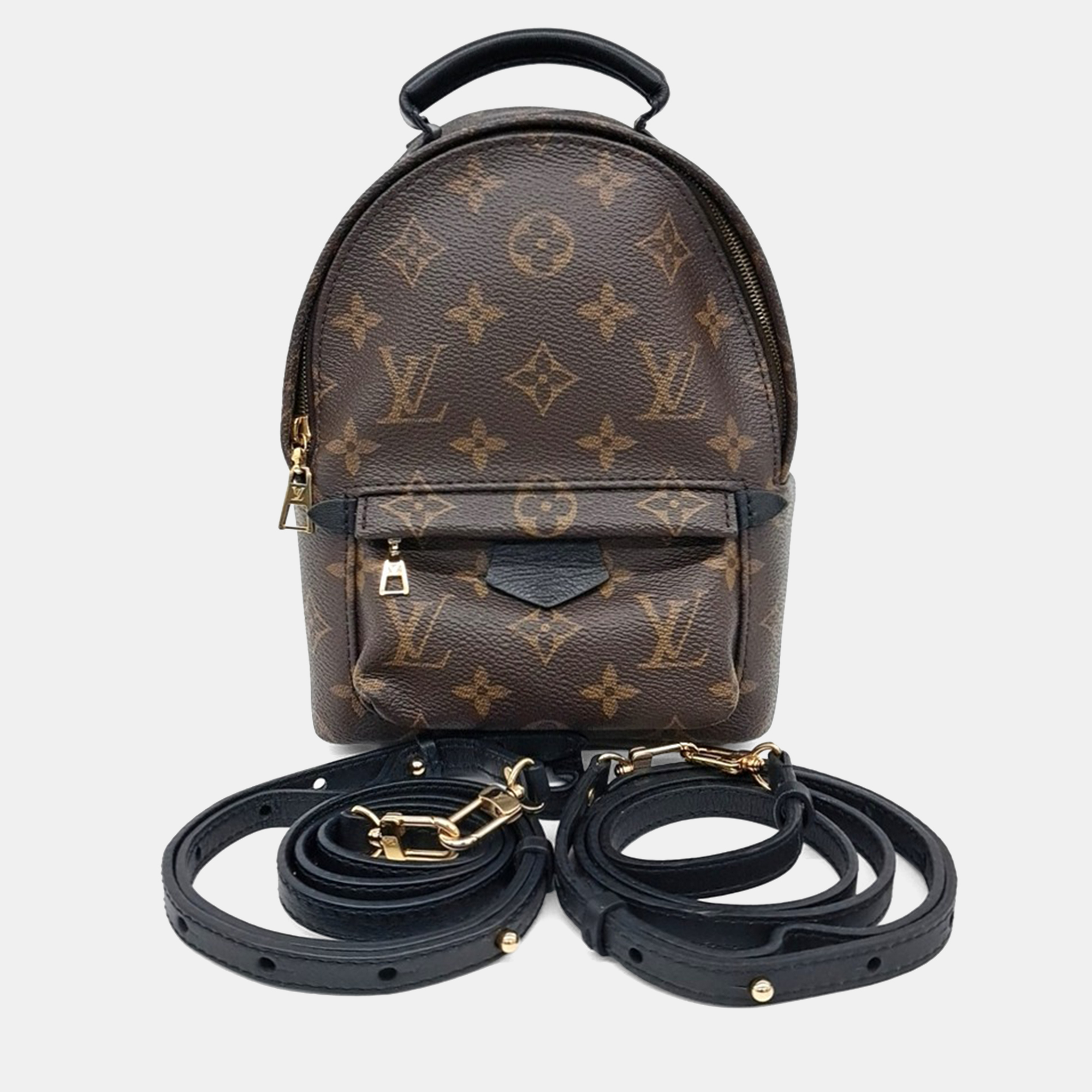 Pre-owned Louis Vuitton Palm Springs Backpack Mini In Brown